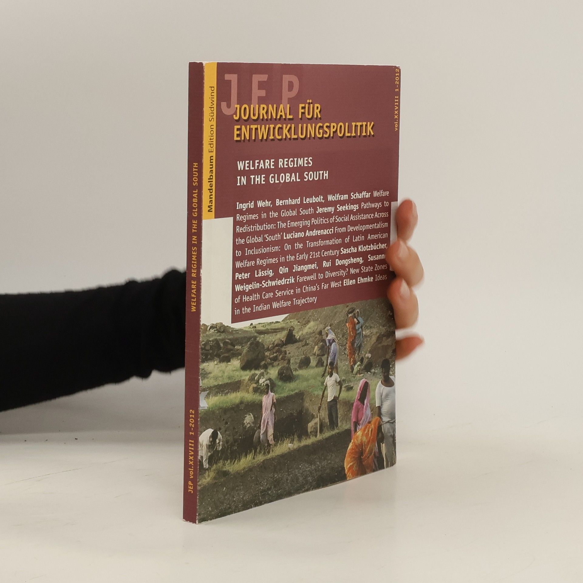 Welfare Regimes in the Global South