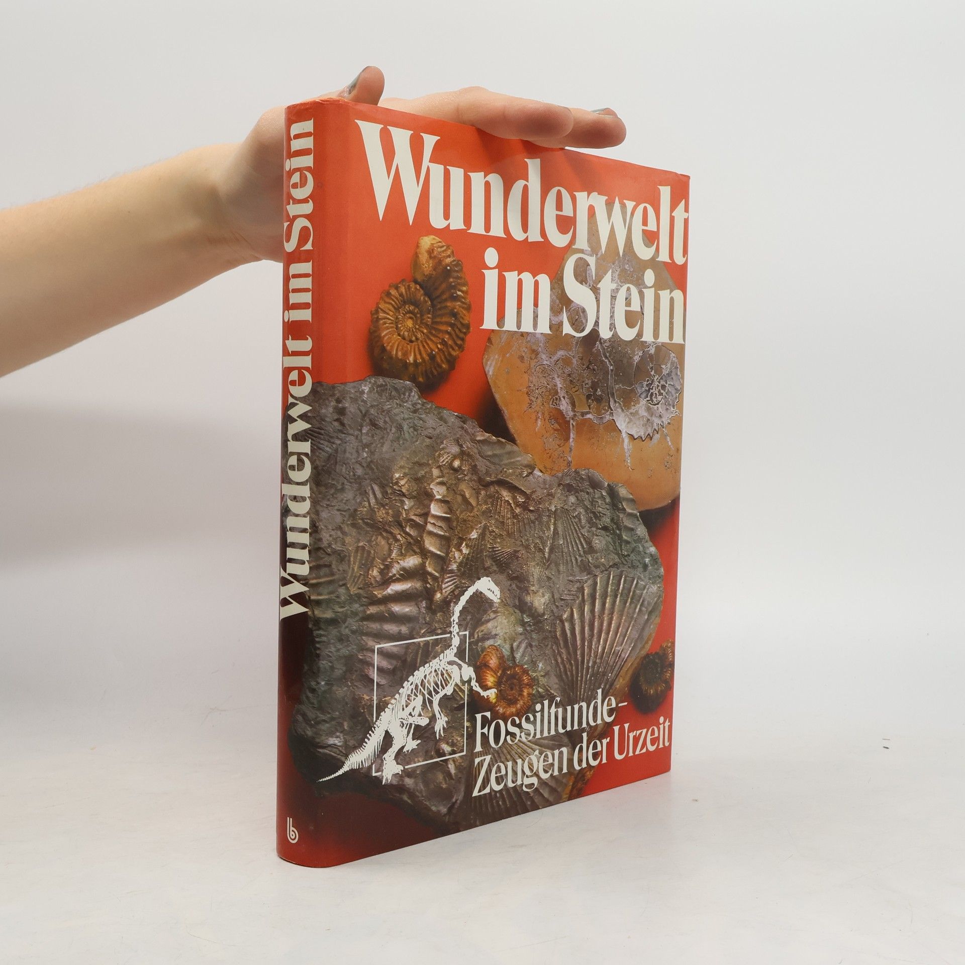 Rudolf Mundlos Wunderwelt im Stein