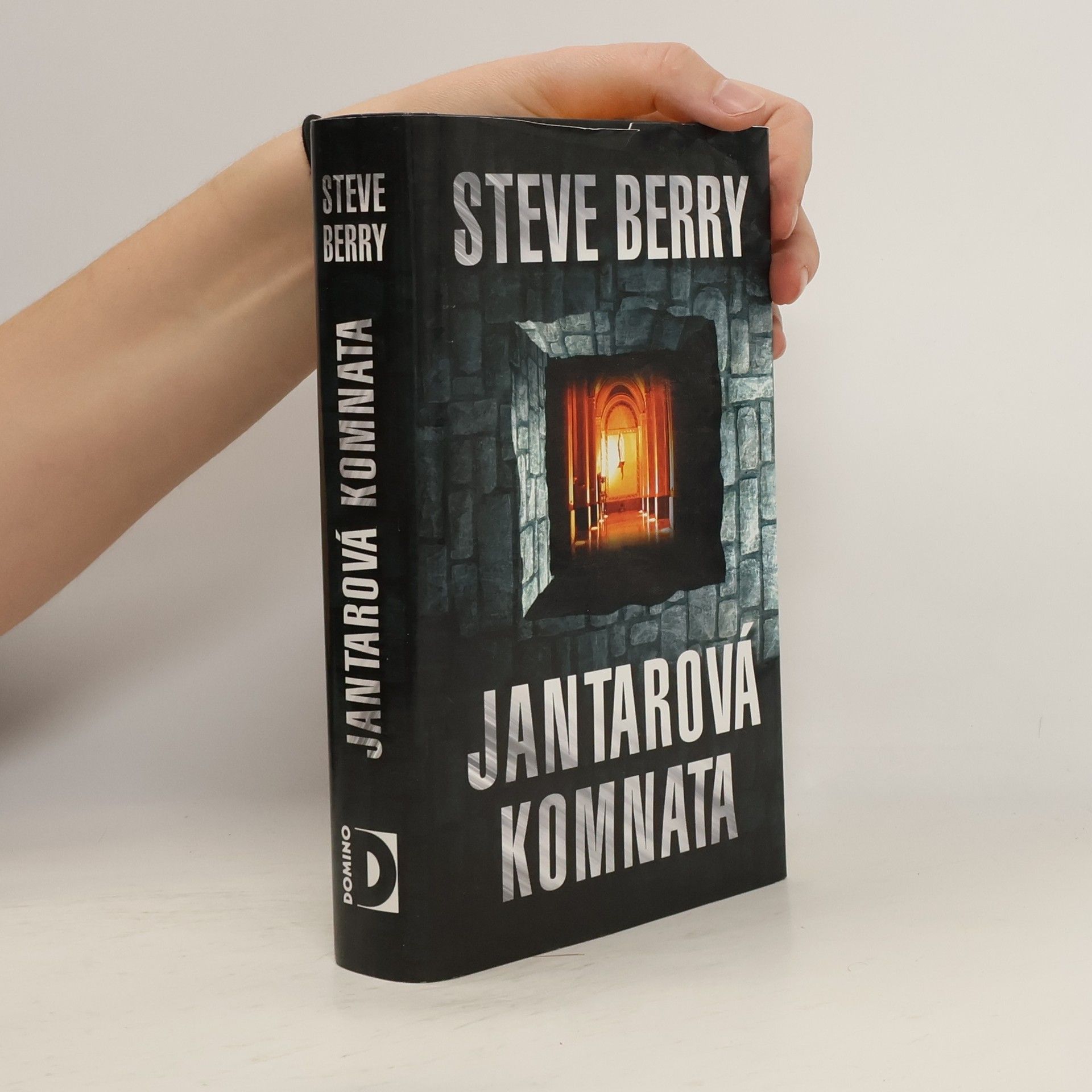 Steve Berry Jantarová komnata