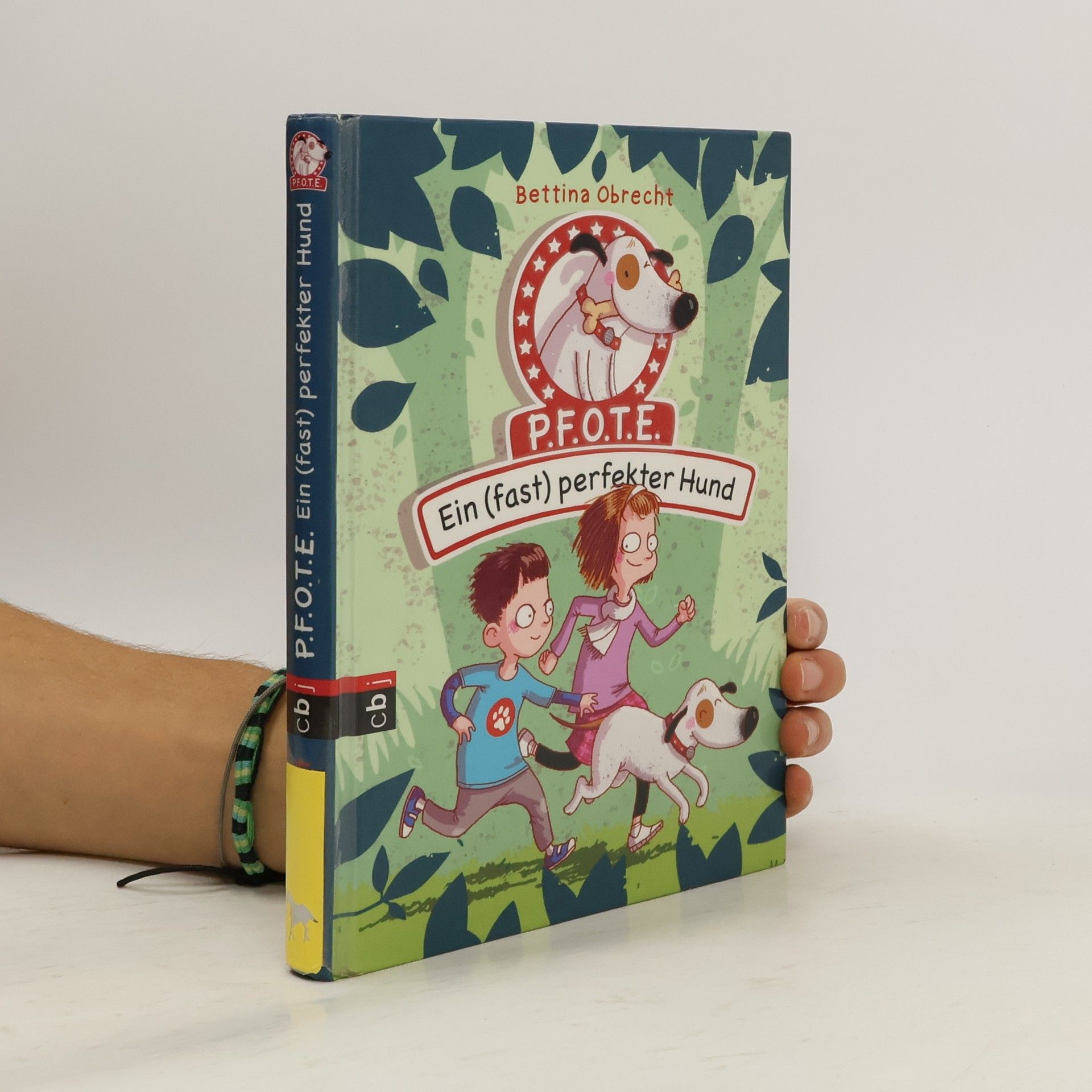 Sabine Ludwig Warum Kater Konrad ins Wasser sprang und eine Maus in die Luft ging