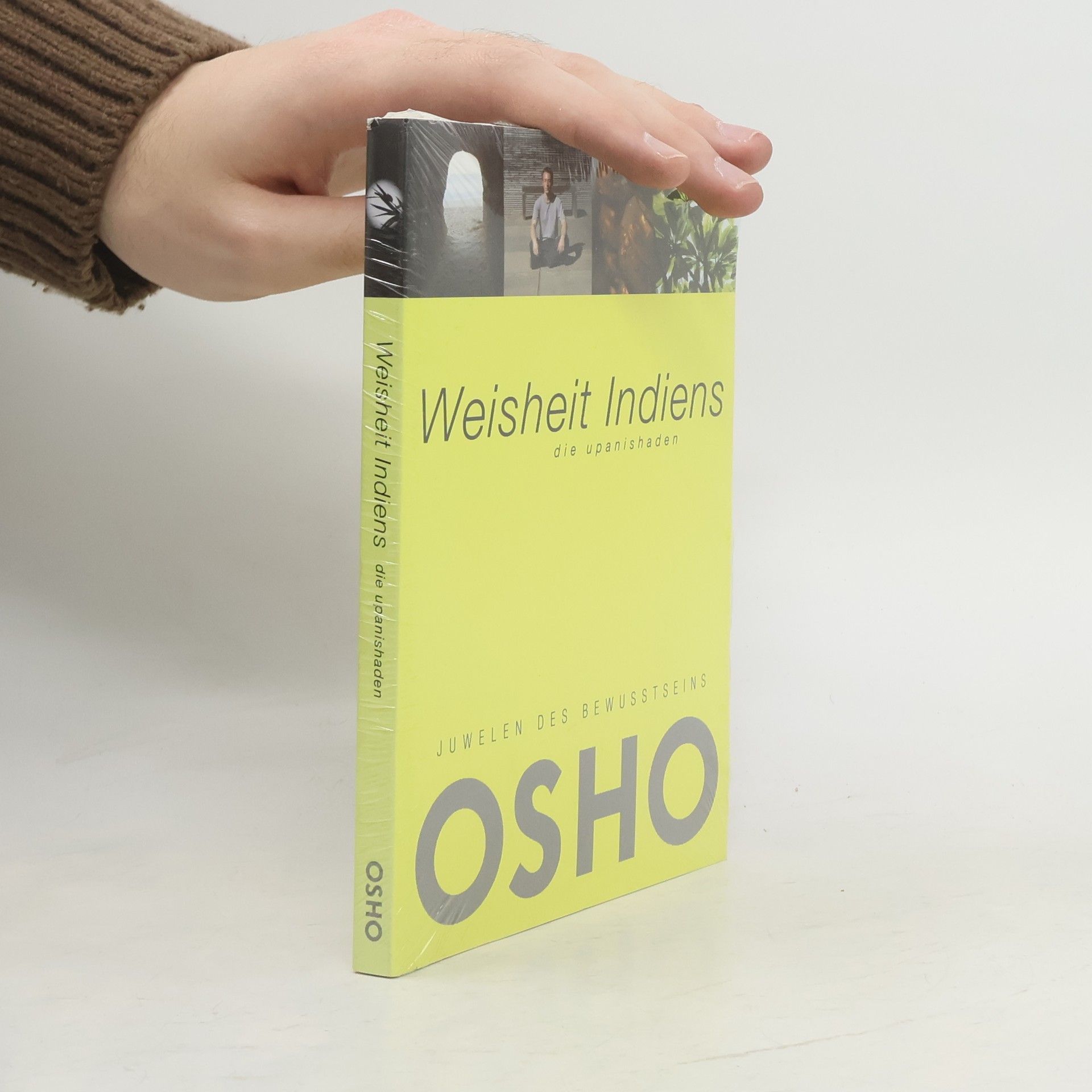 Thomas Greiner Weisheit Indiens