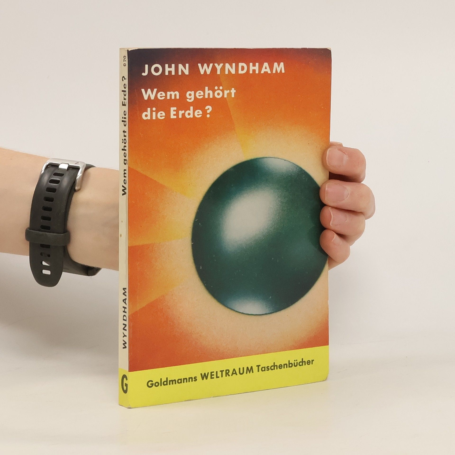 John Wybdham Wem gehört die Erde?