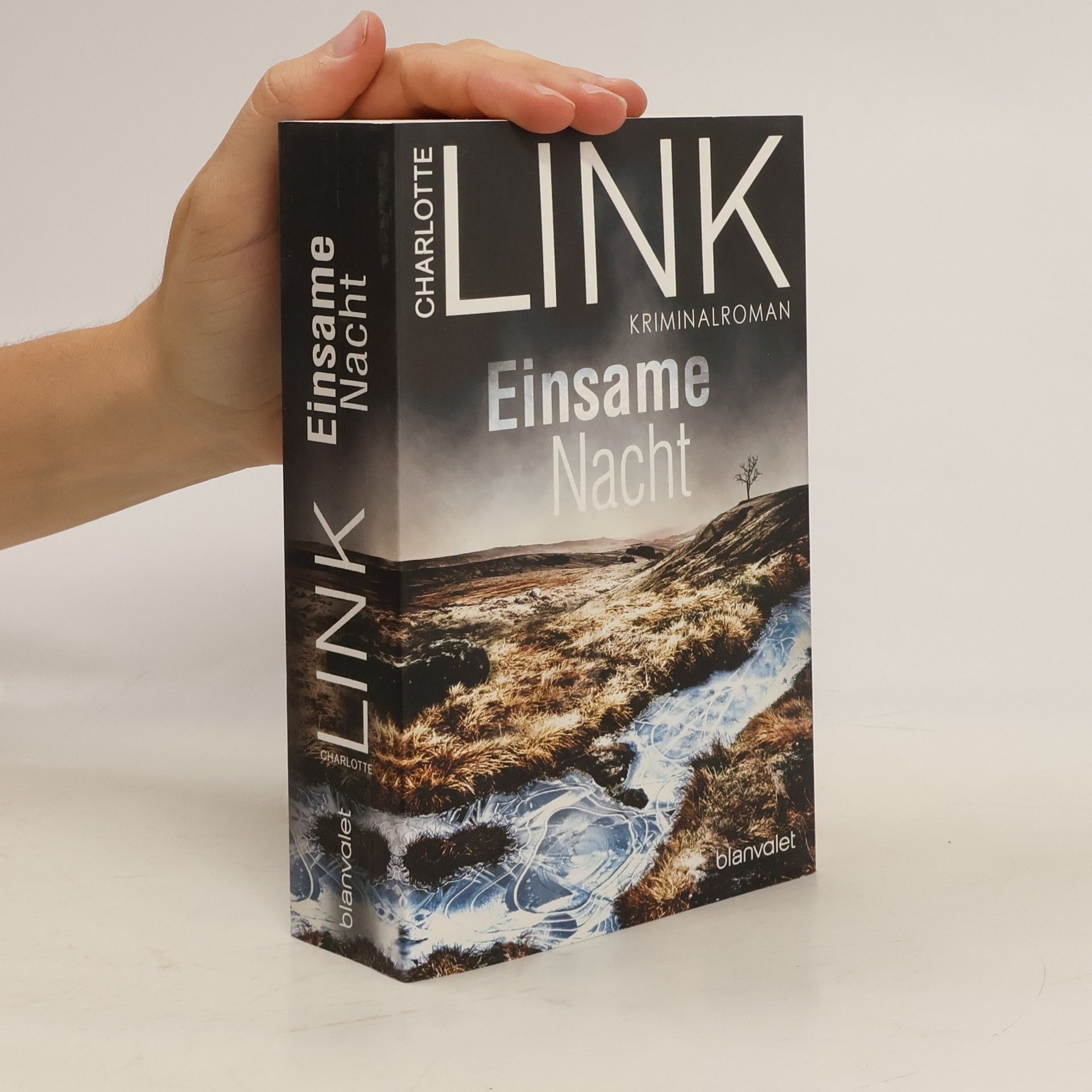 Charlotte Link Einsame Nacht