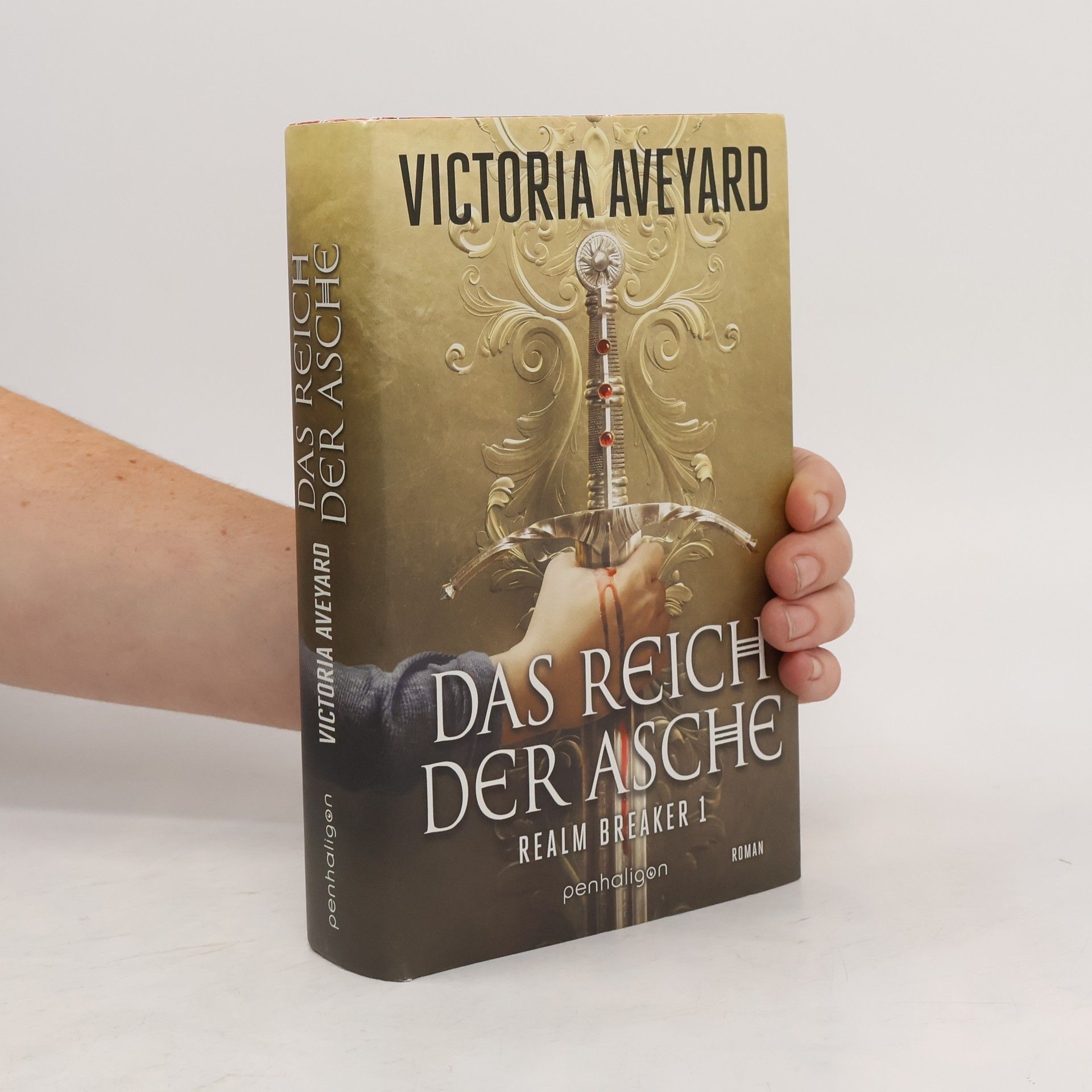 Victoria Aveyard Das Reich der Asche - Realm Breaker 1