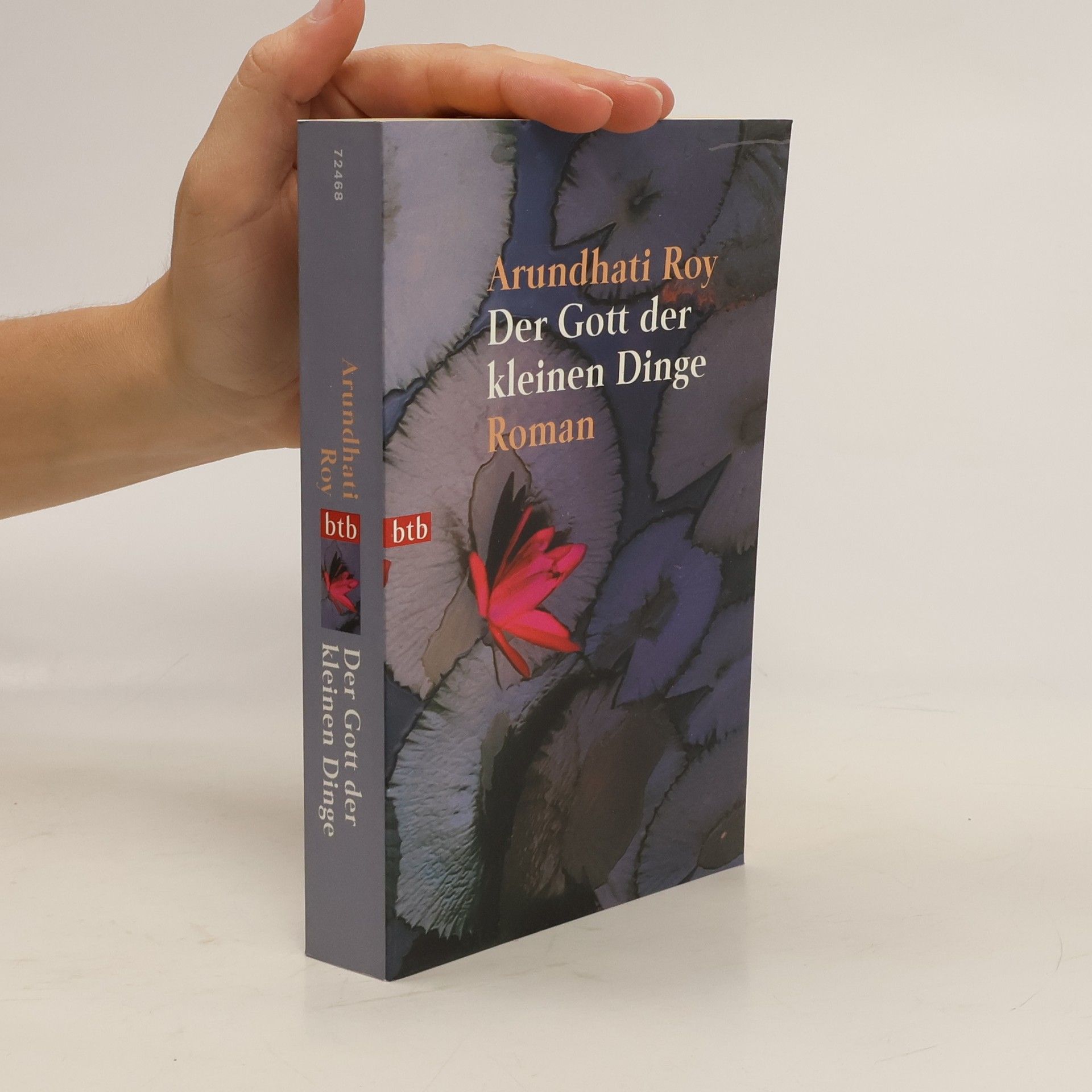 Arundhatí Roy Der Gott der kleinen Dinge