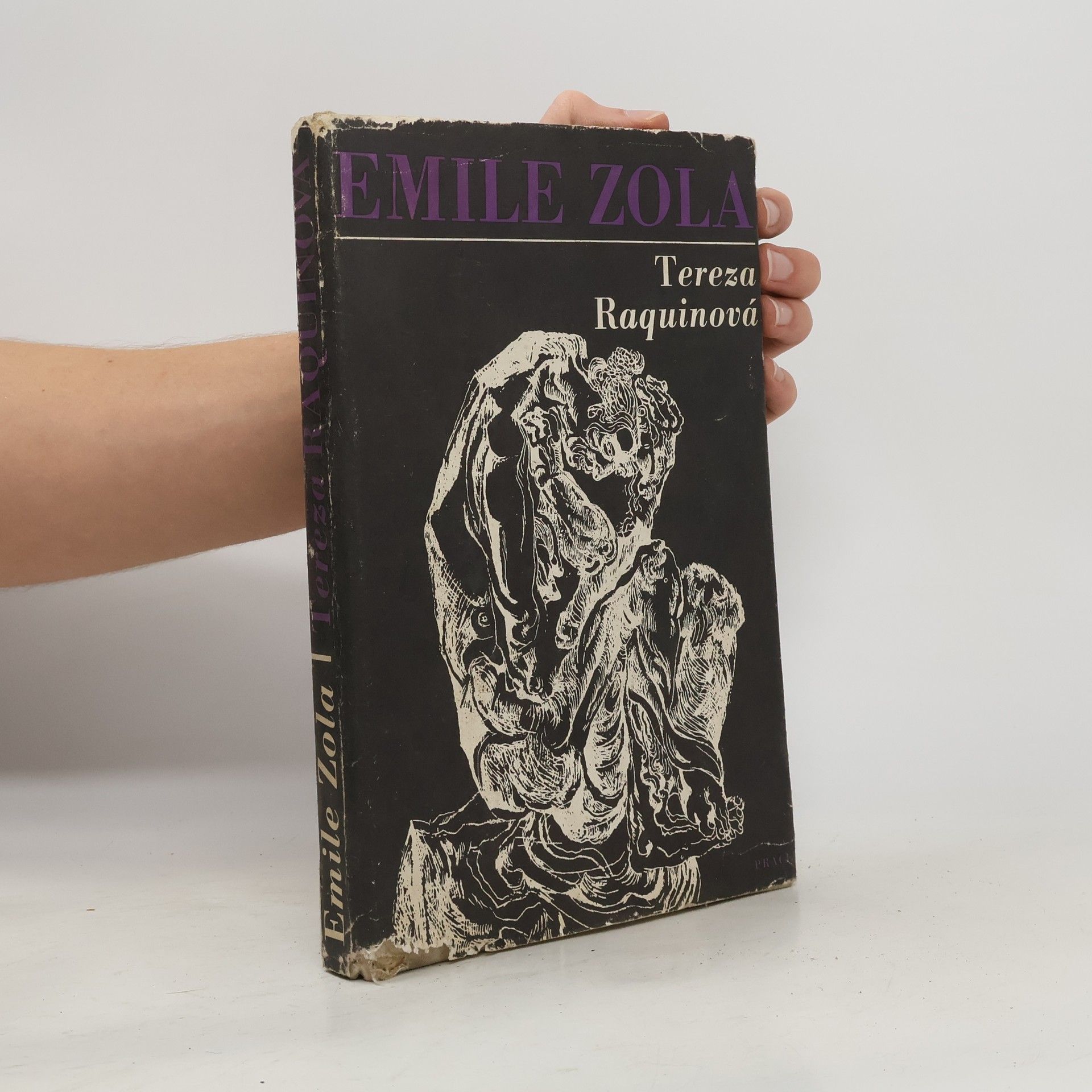 Émile Zola Tereza Raquinová