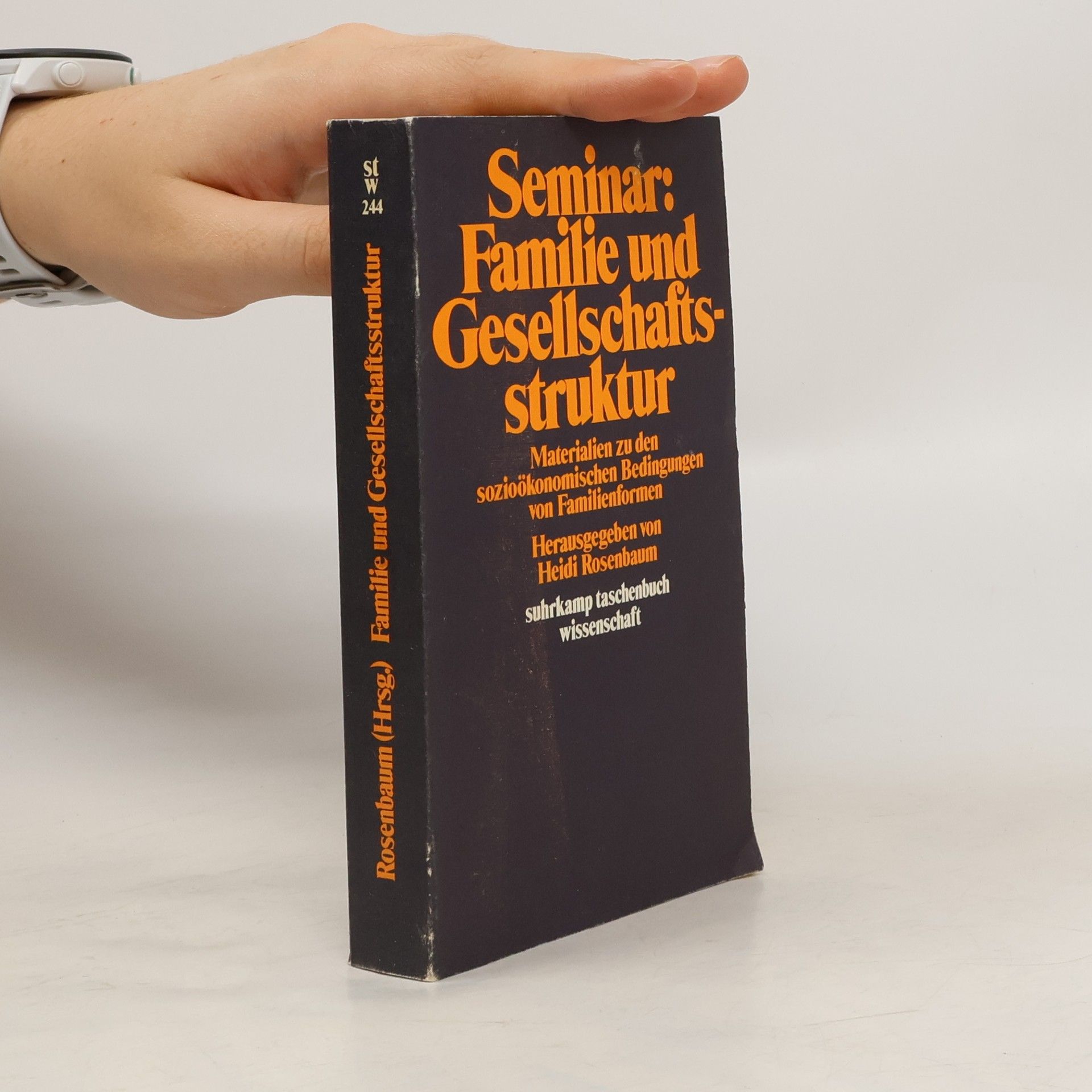 Seminar Familie und Gesellschaftsstruktur