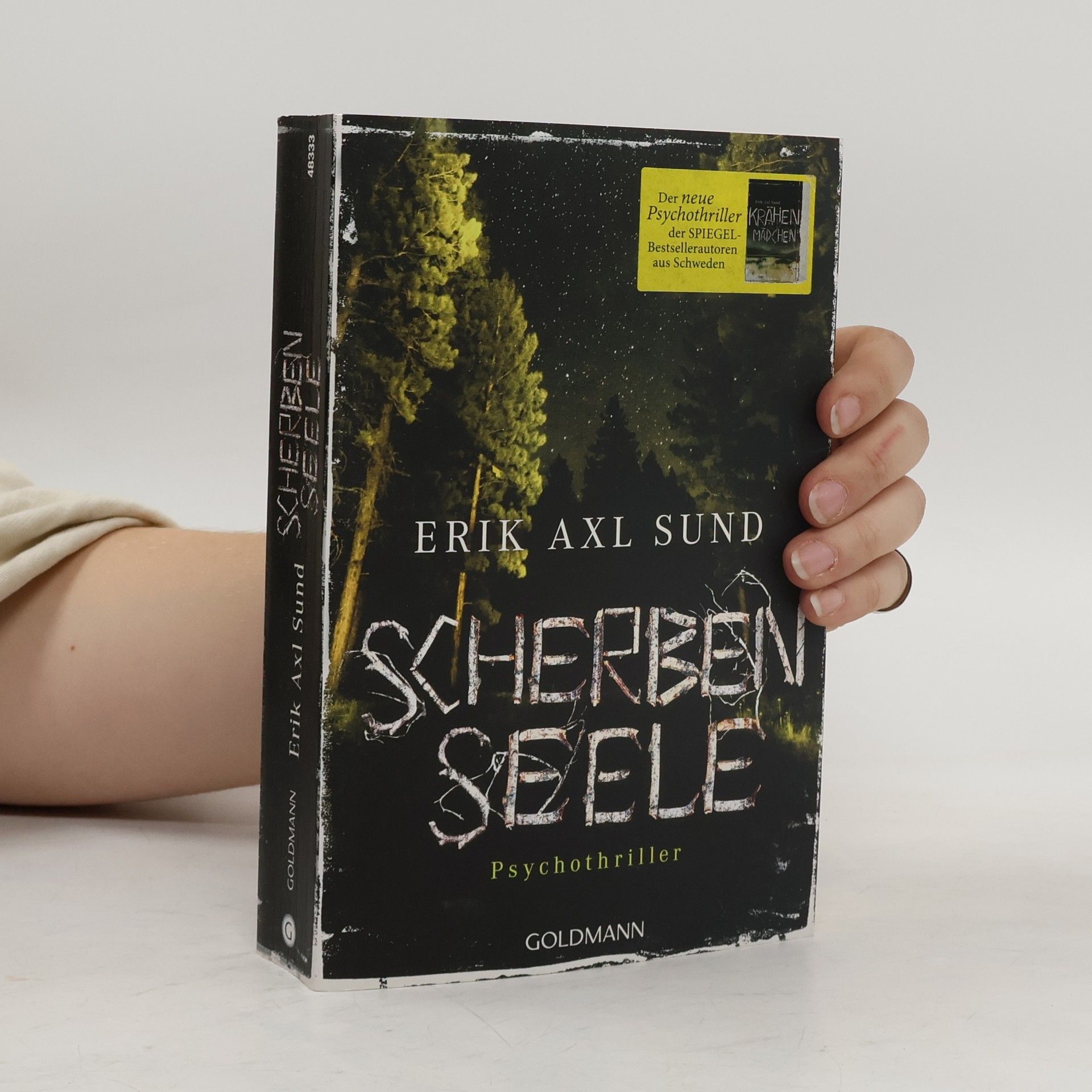 Erik Axl Sund Scherbenseele