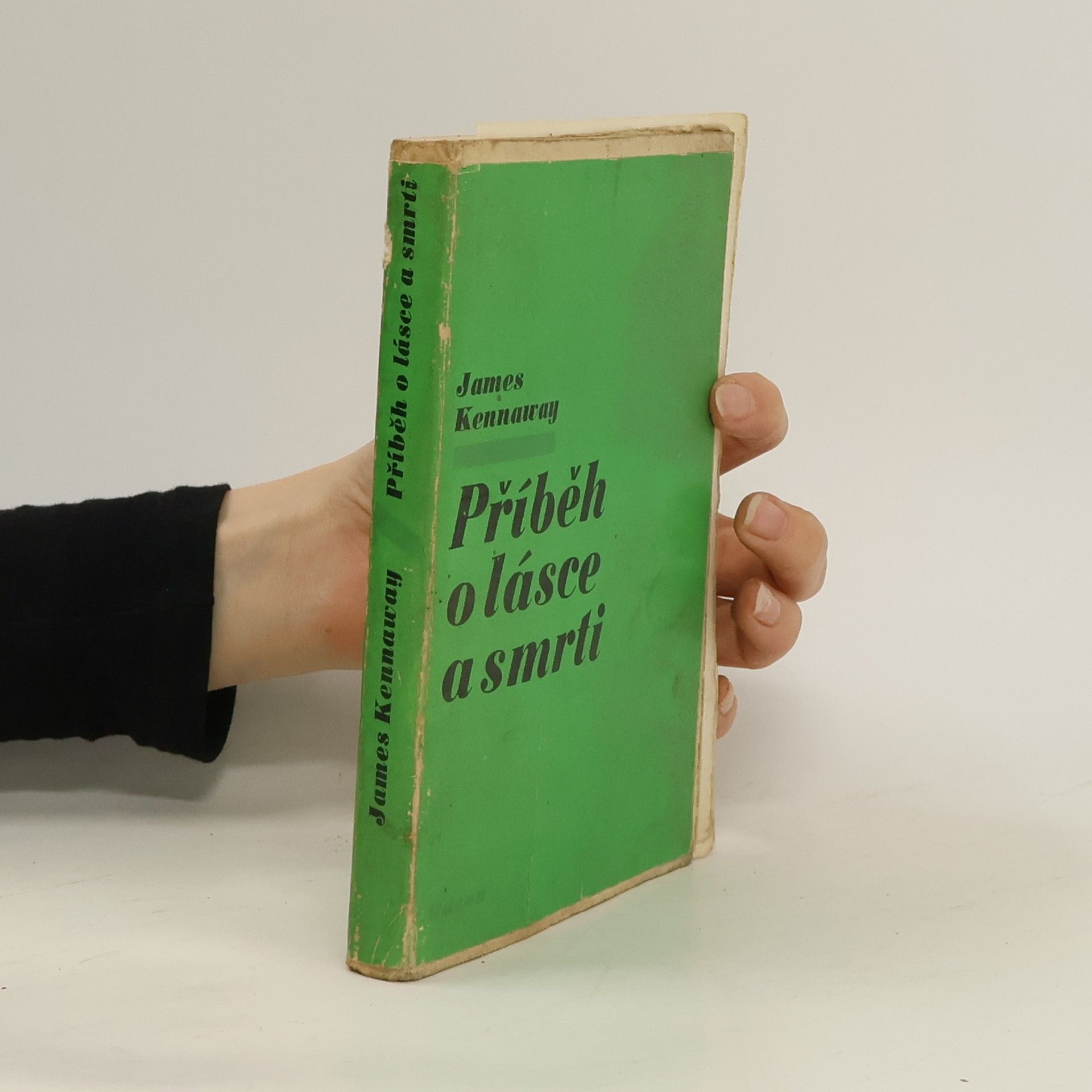 Příběh o lásce a smrti