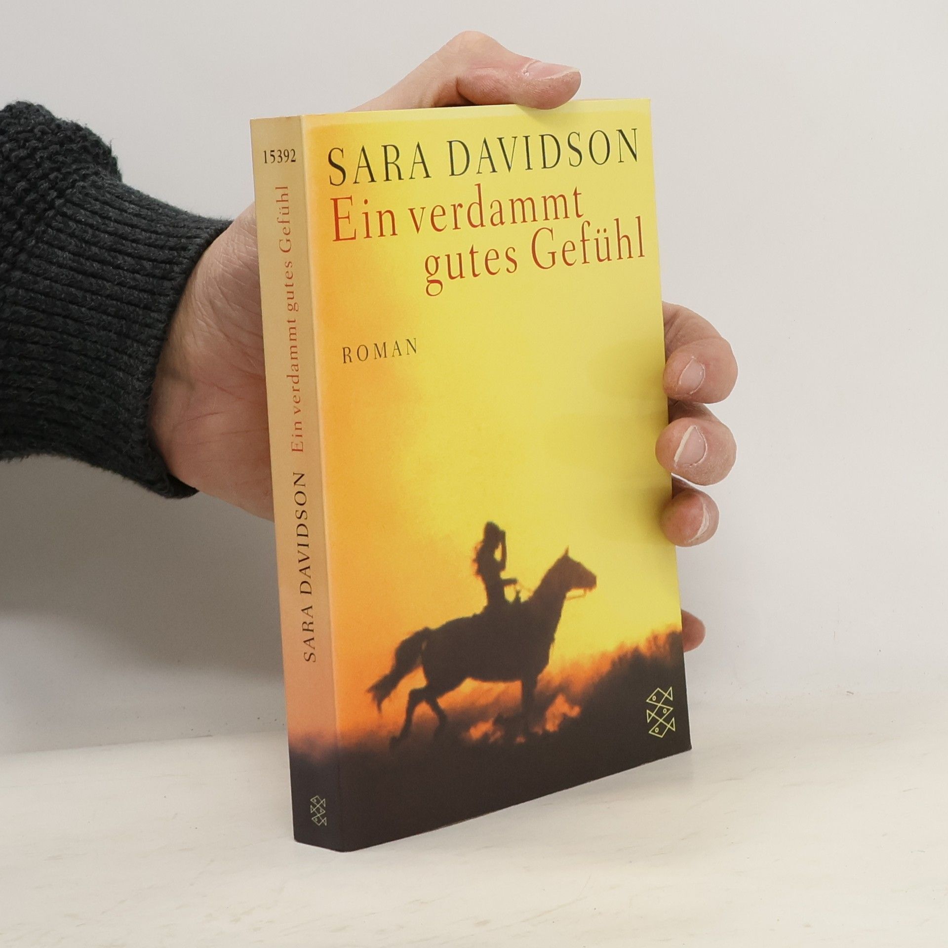 Sara Davidson Ein verdammt gutes Gefühl