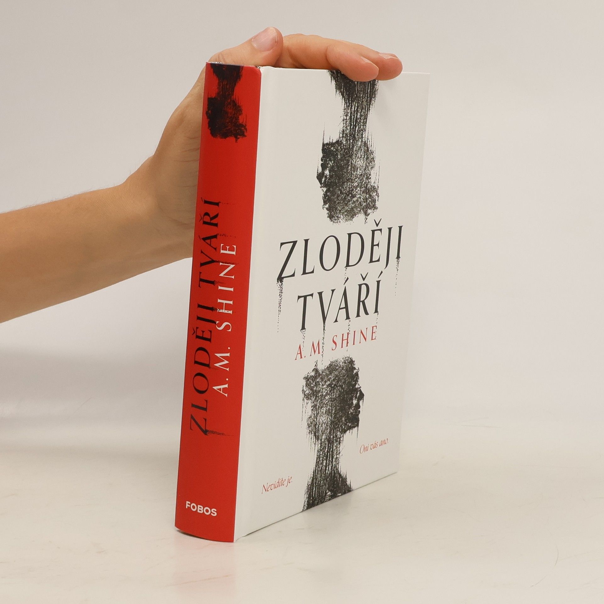 Kateřina Harrison Lipenská Zloději tváří