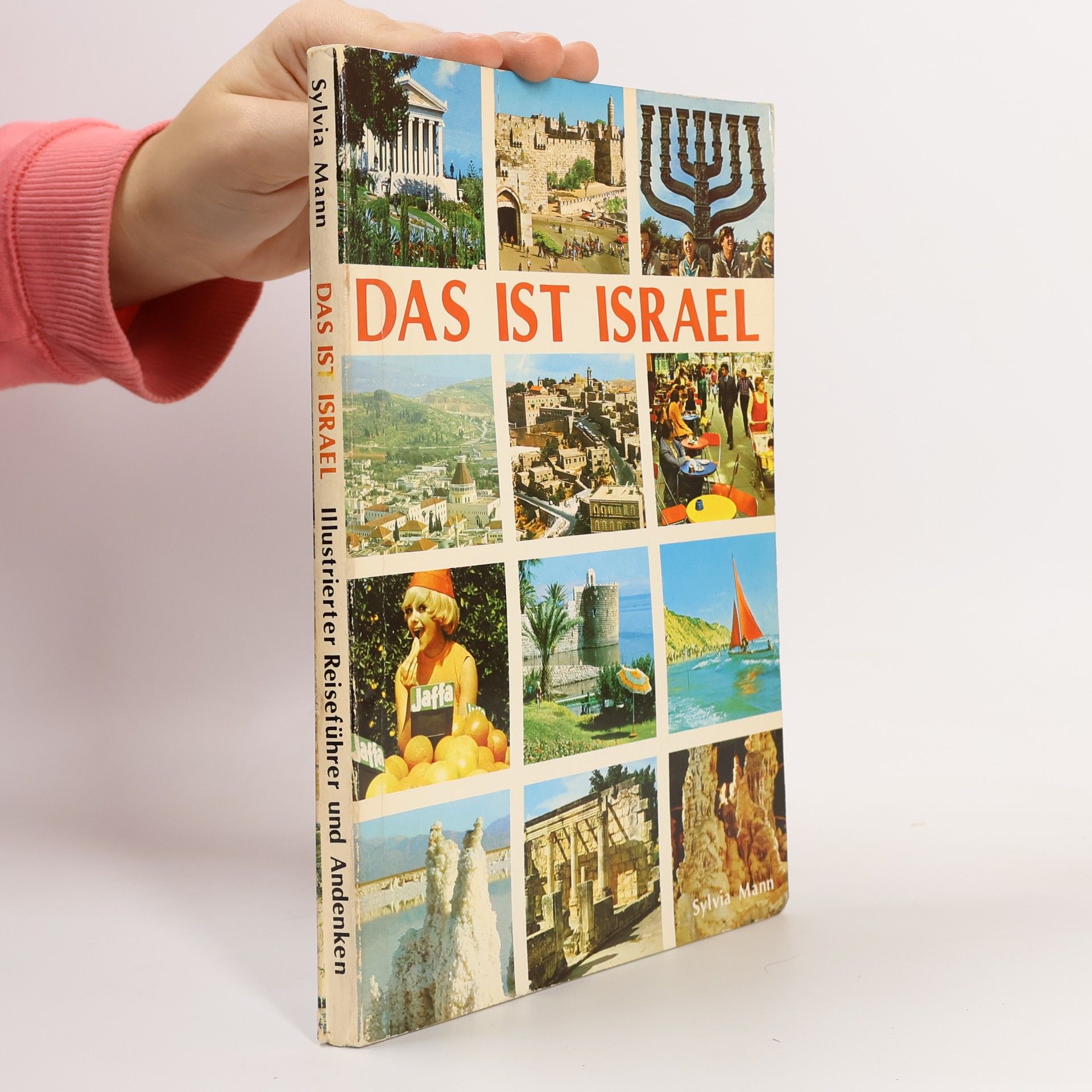 Autorenkollektiv Das ist Izrael