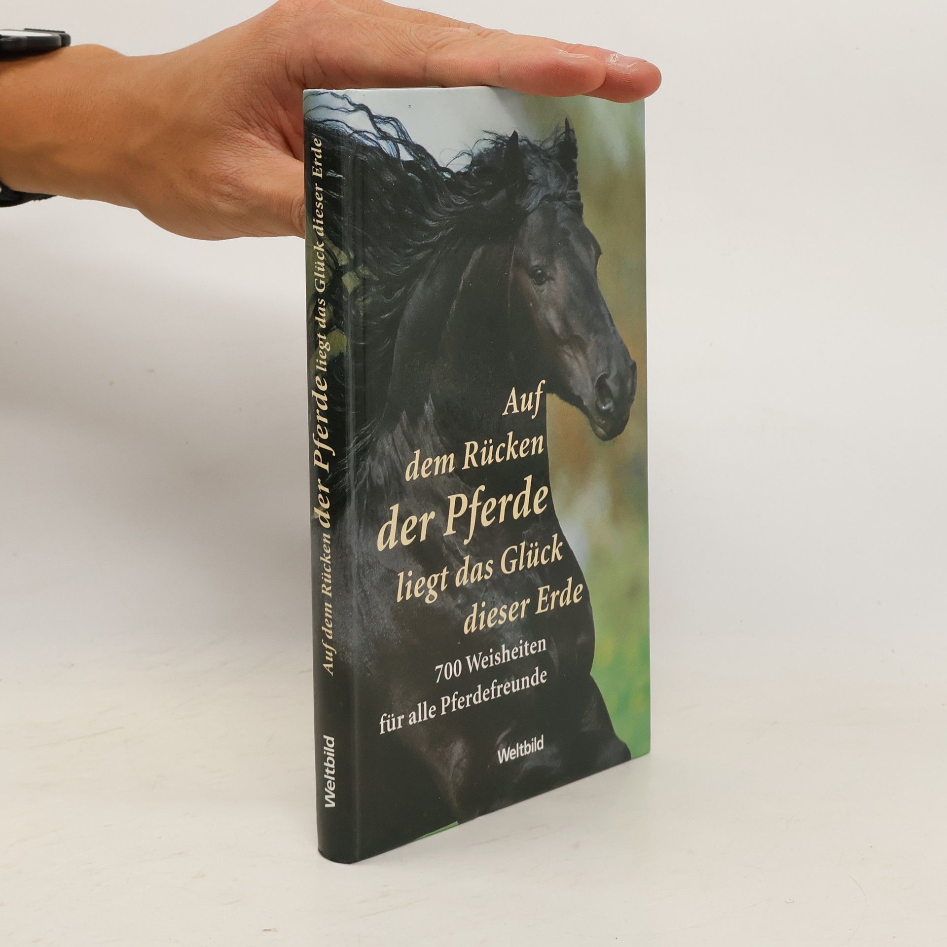 Auf dem Rücken der Pferde liegt das Glück dieser Erde