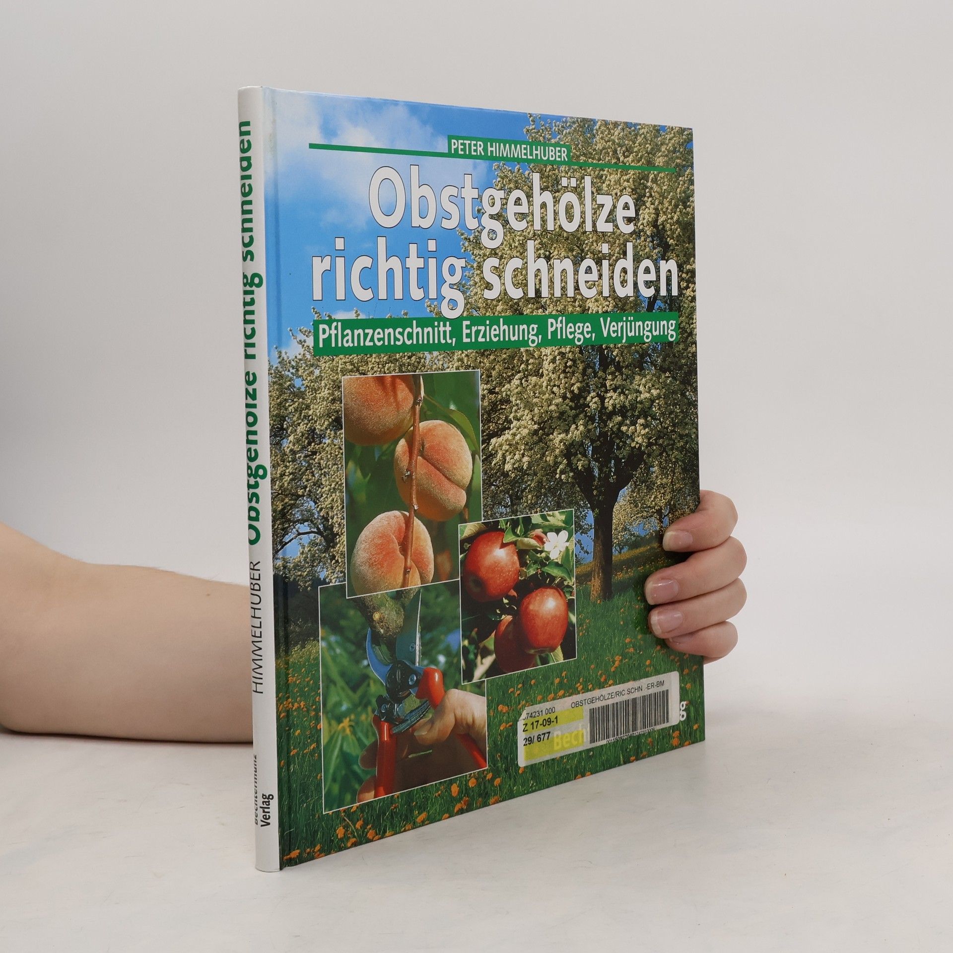 Obstgehölze richtig schneiden