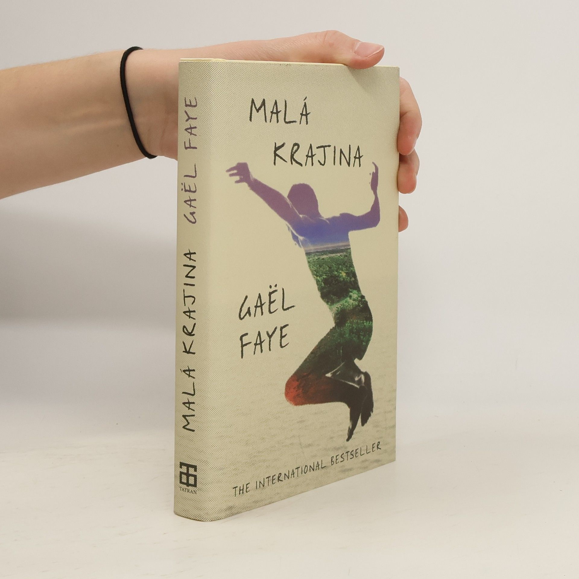 Gaël Faye Malá krajina