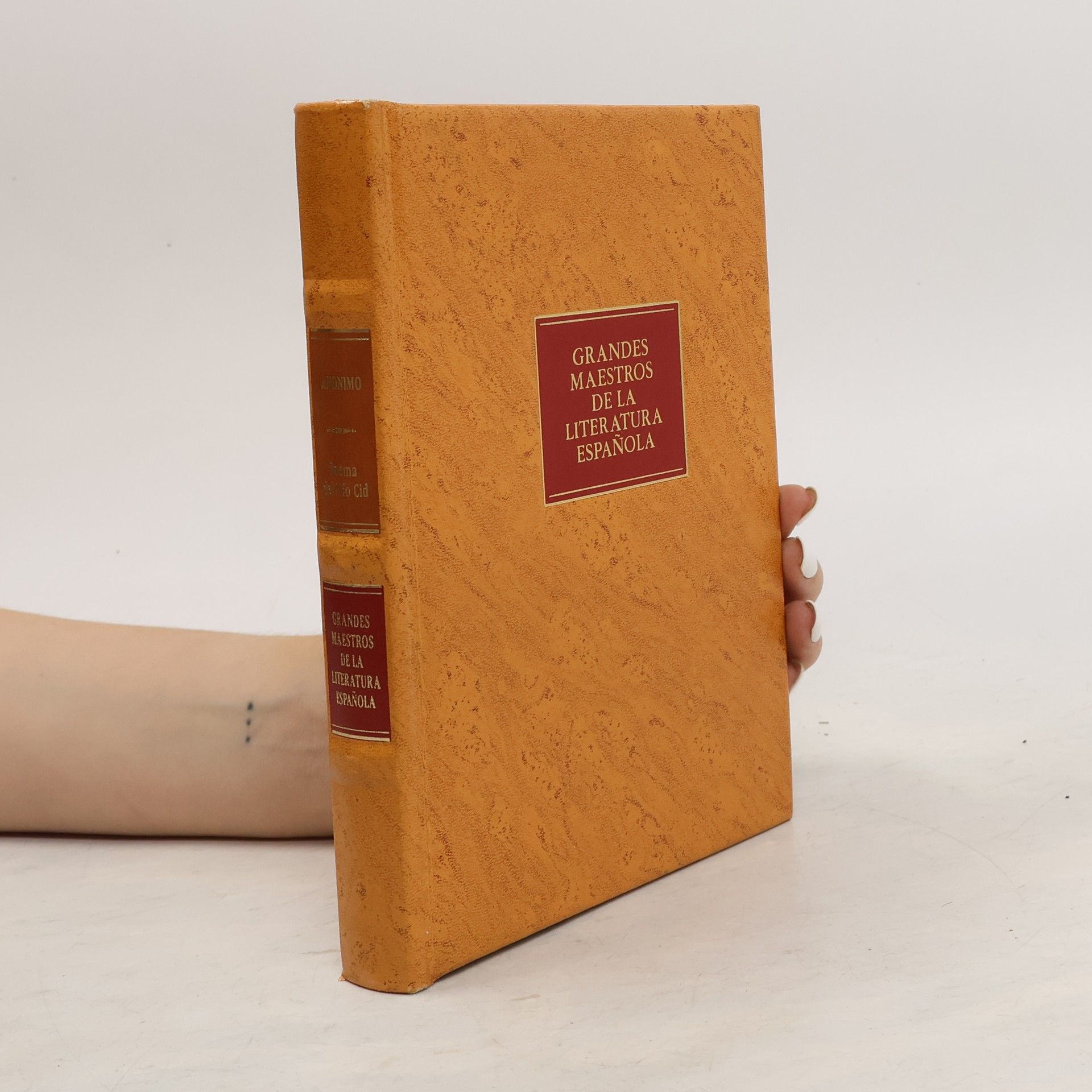 Kolektív autorov Grandes maestros de la literatura española