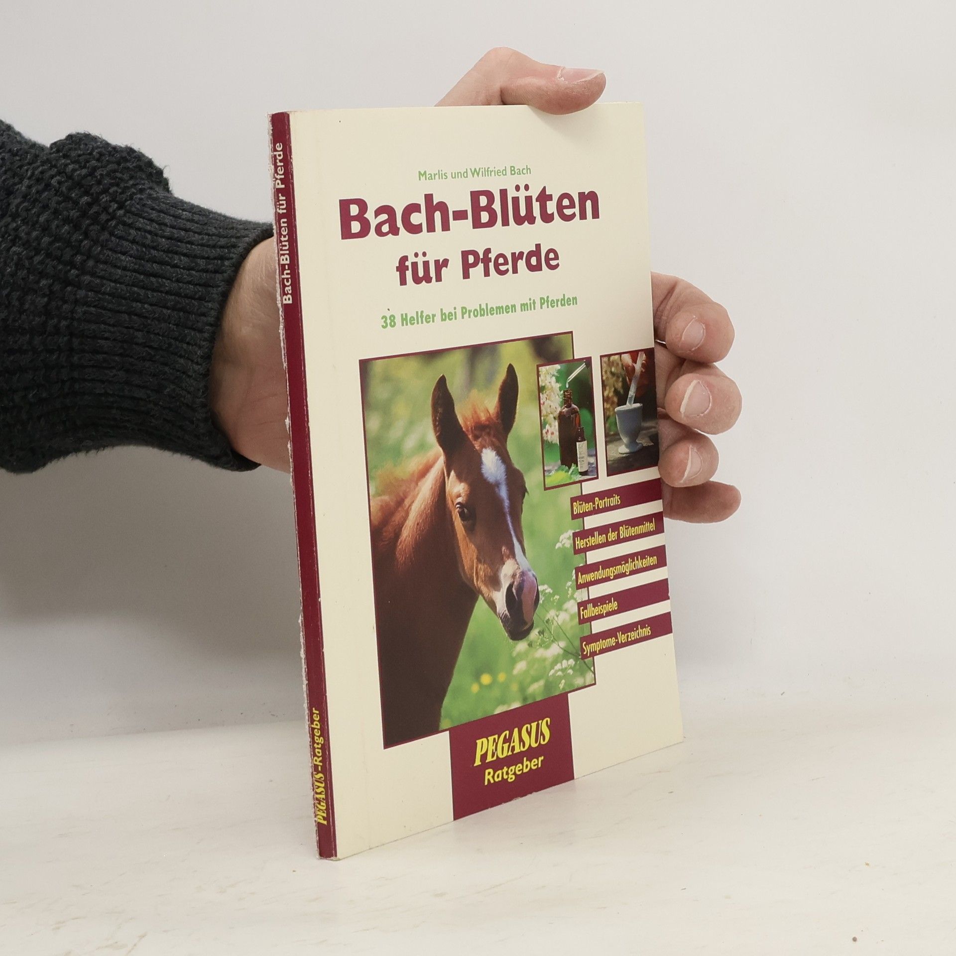 Marlis Bach Bach-Blüten für Pferde