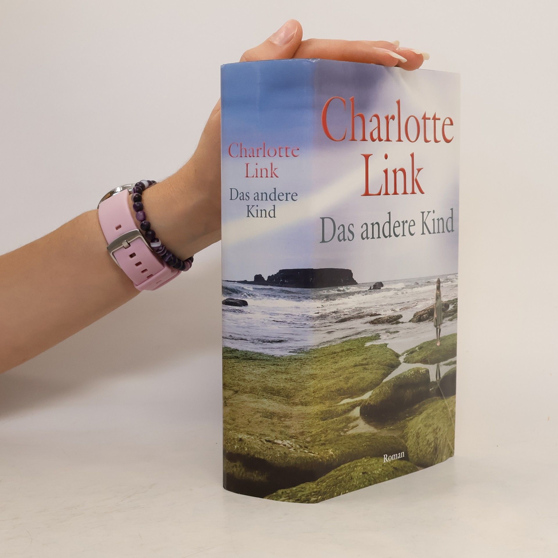 Charlotte Link Das andere Kind