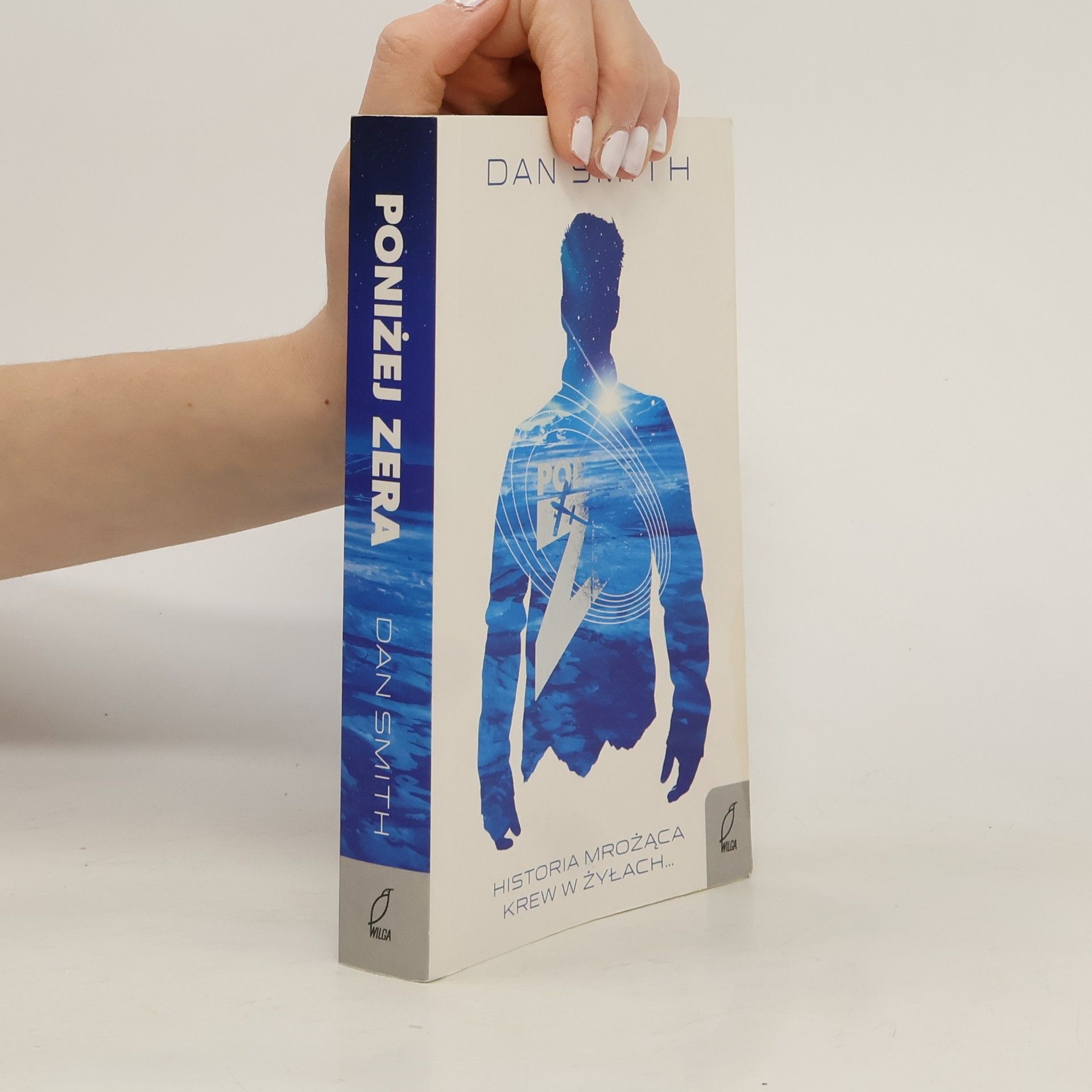 Daniel Smith Poniżej zera