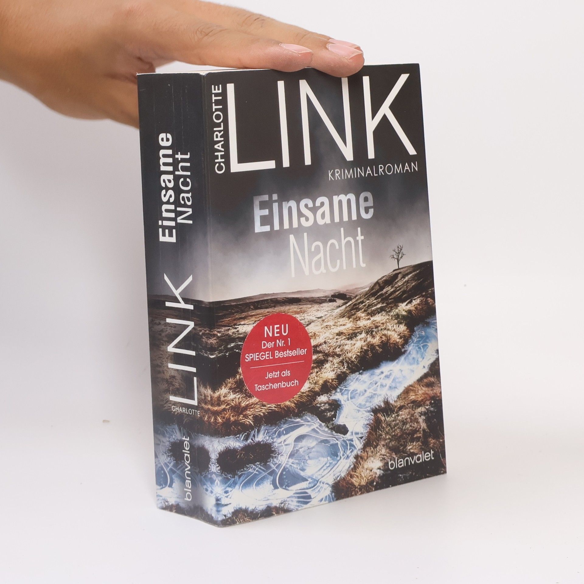 Charlotte Link Einsame Nacht