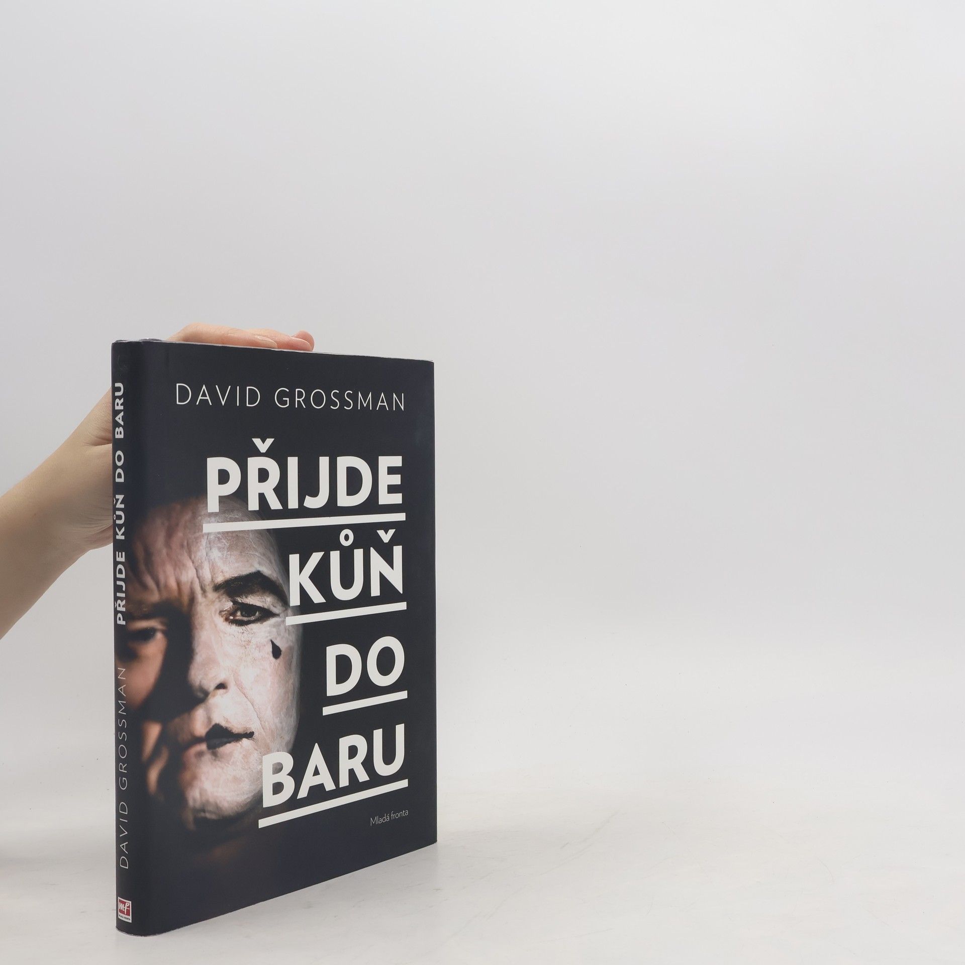 David Grossman Přijde kůň do baru