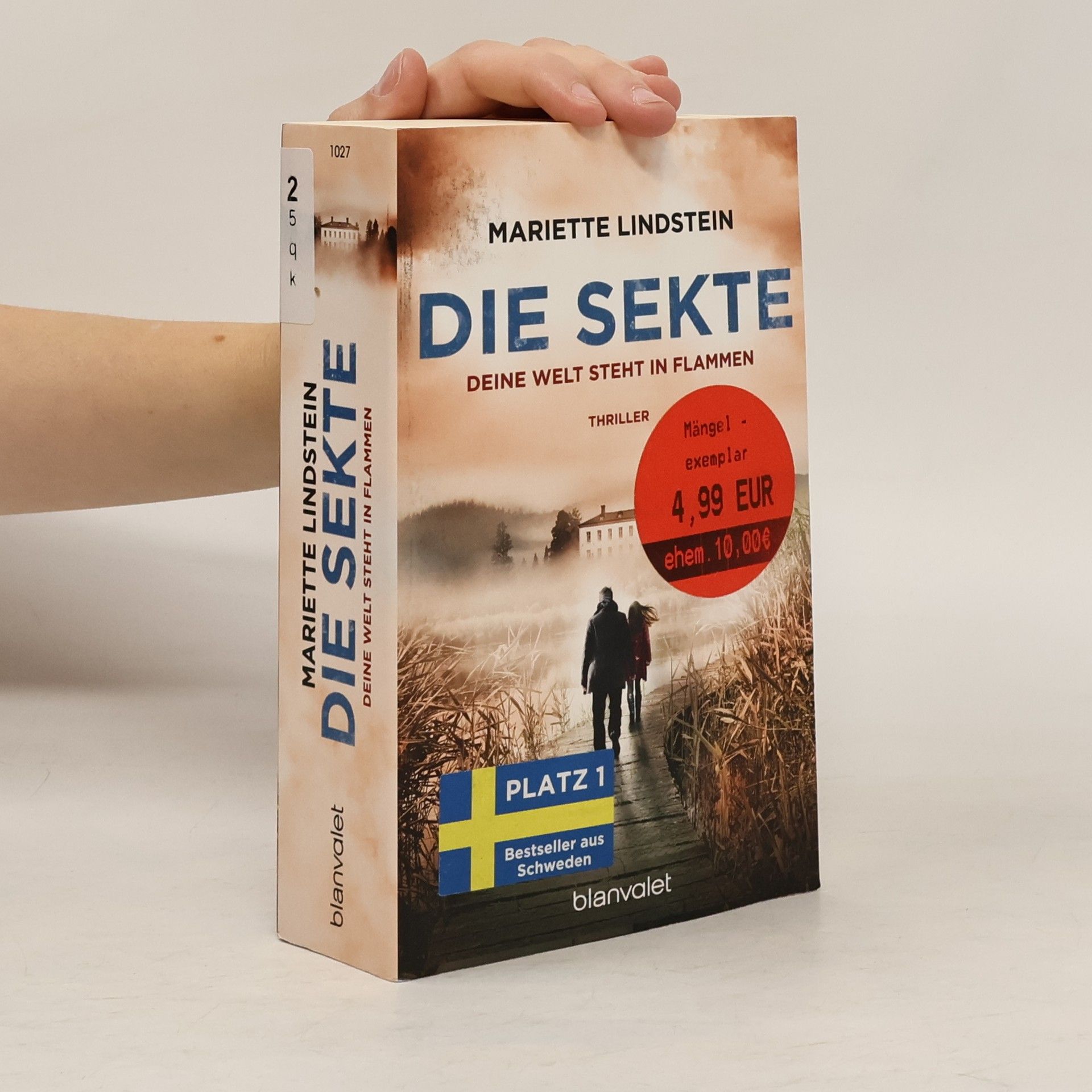 Die Sekte: Deine Welt steht in Flammen