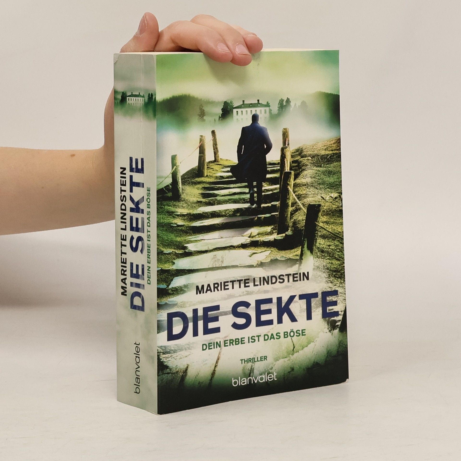 Die Sekte – Dein Erbe ist das Böse. Thriller