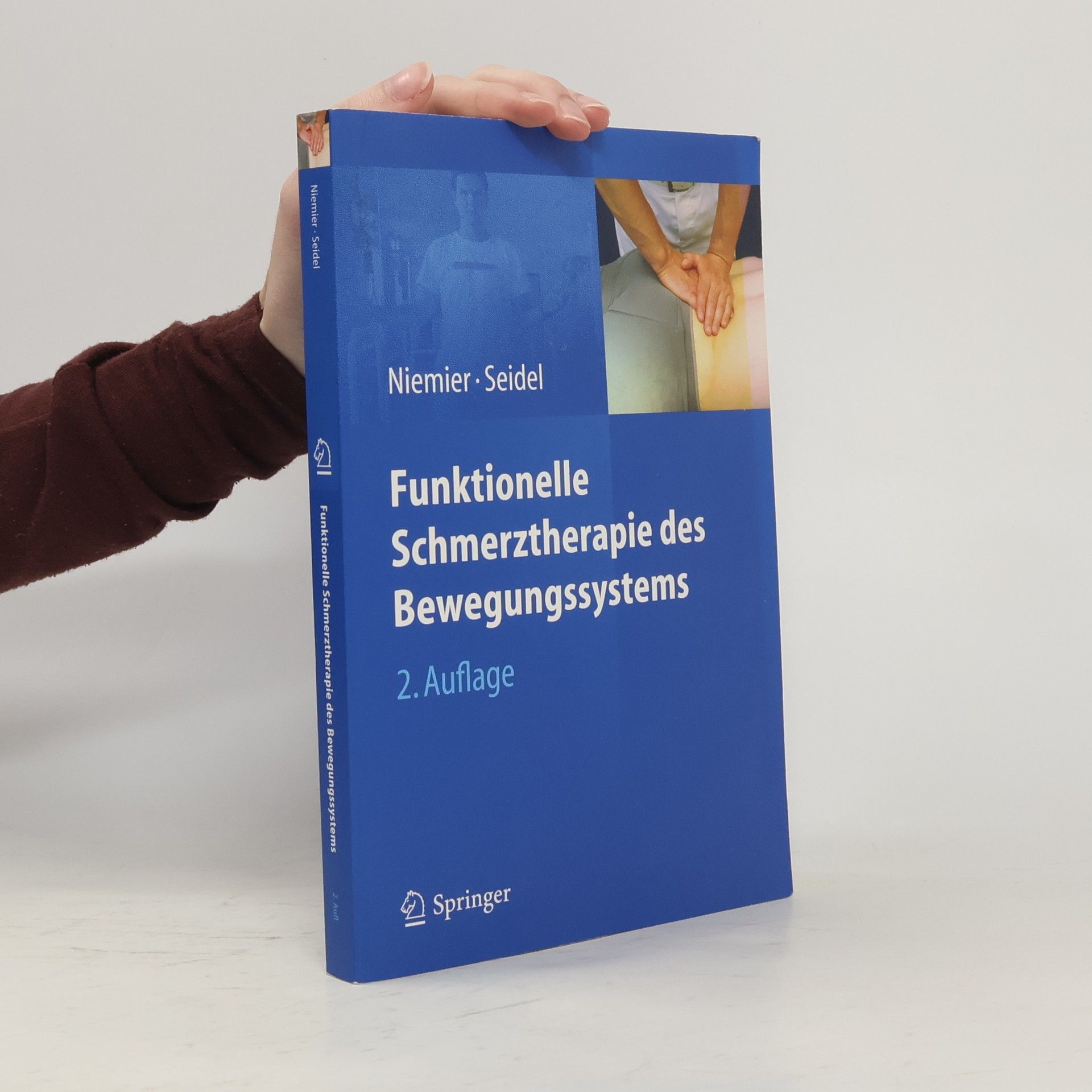 Funktionelle Schmerztherapie des Bewegungssystems