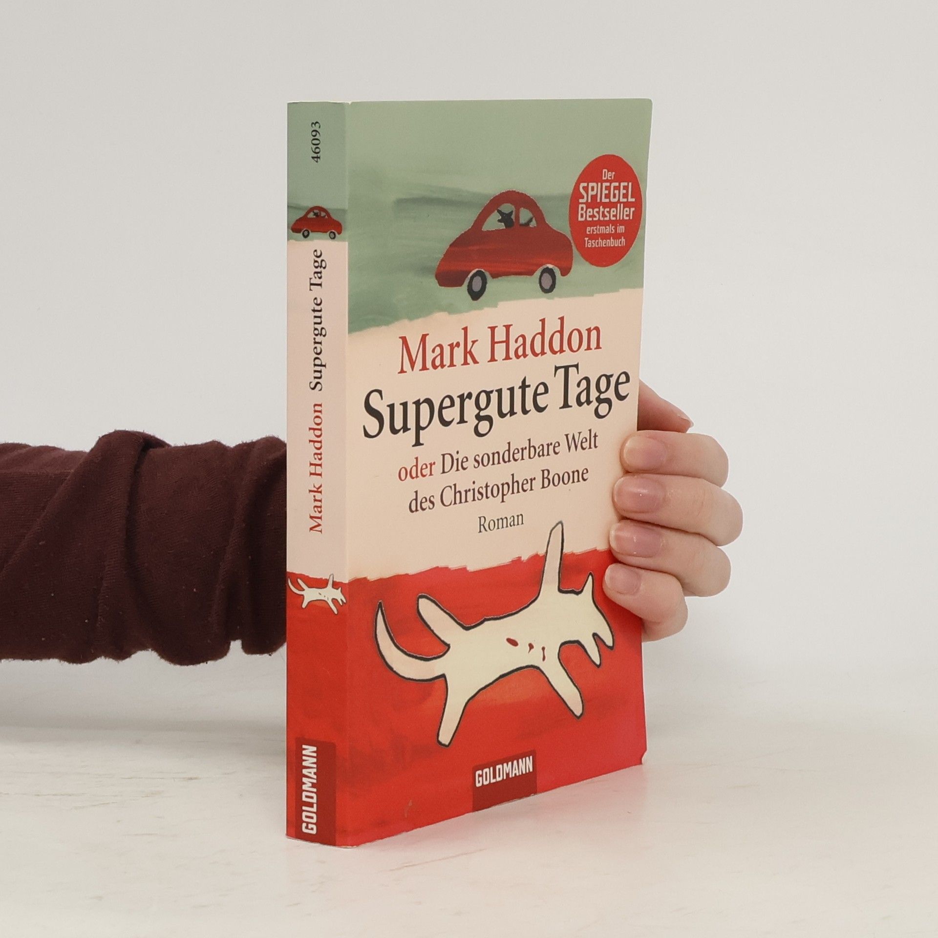 Supergute Tage oder Die sonderbare Welt des Christopher Boone