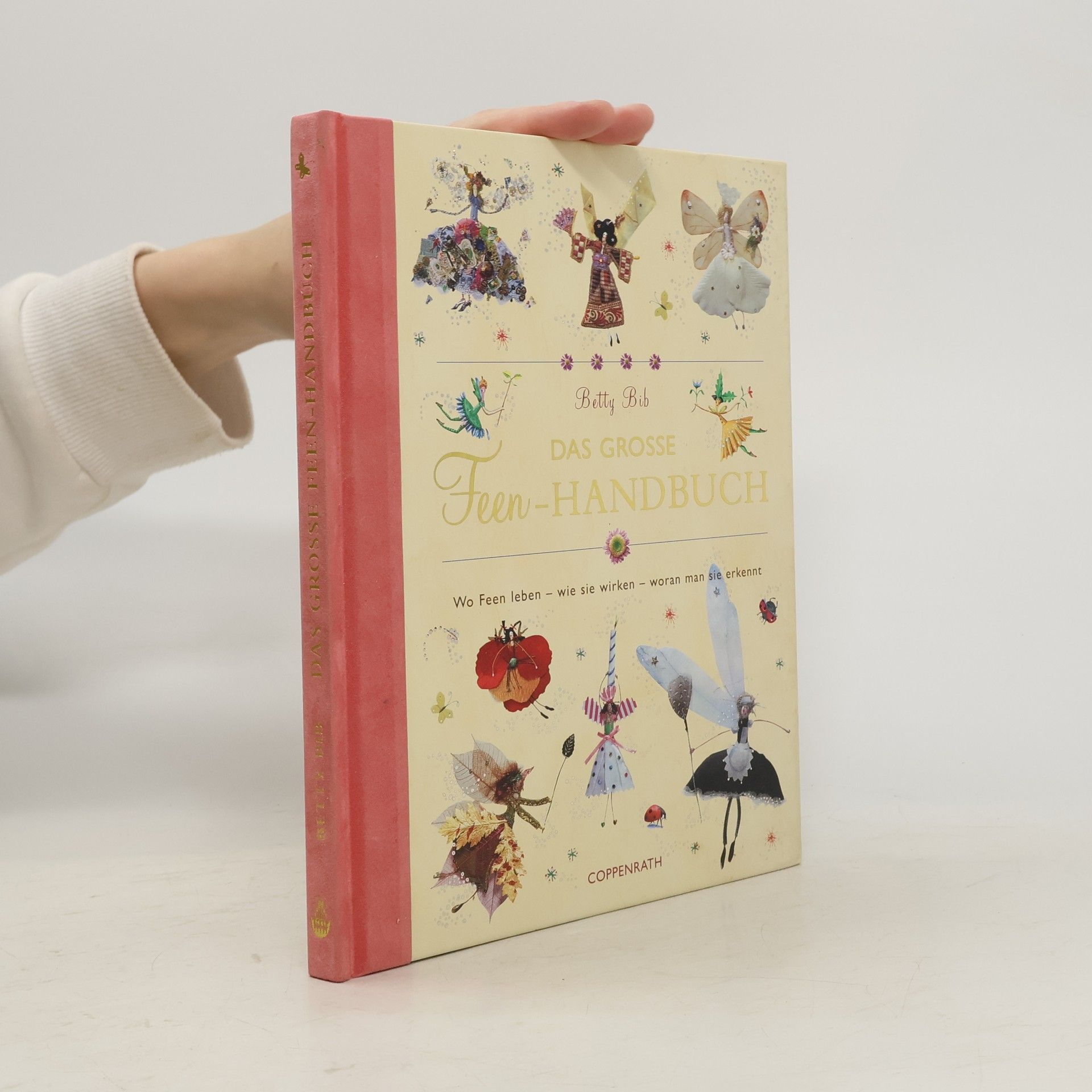 Betty Bib Das grosse Feen-Handbuch