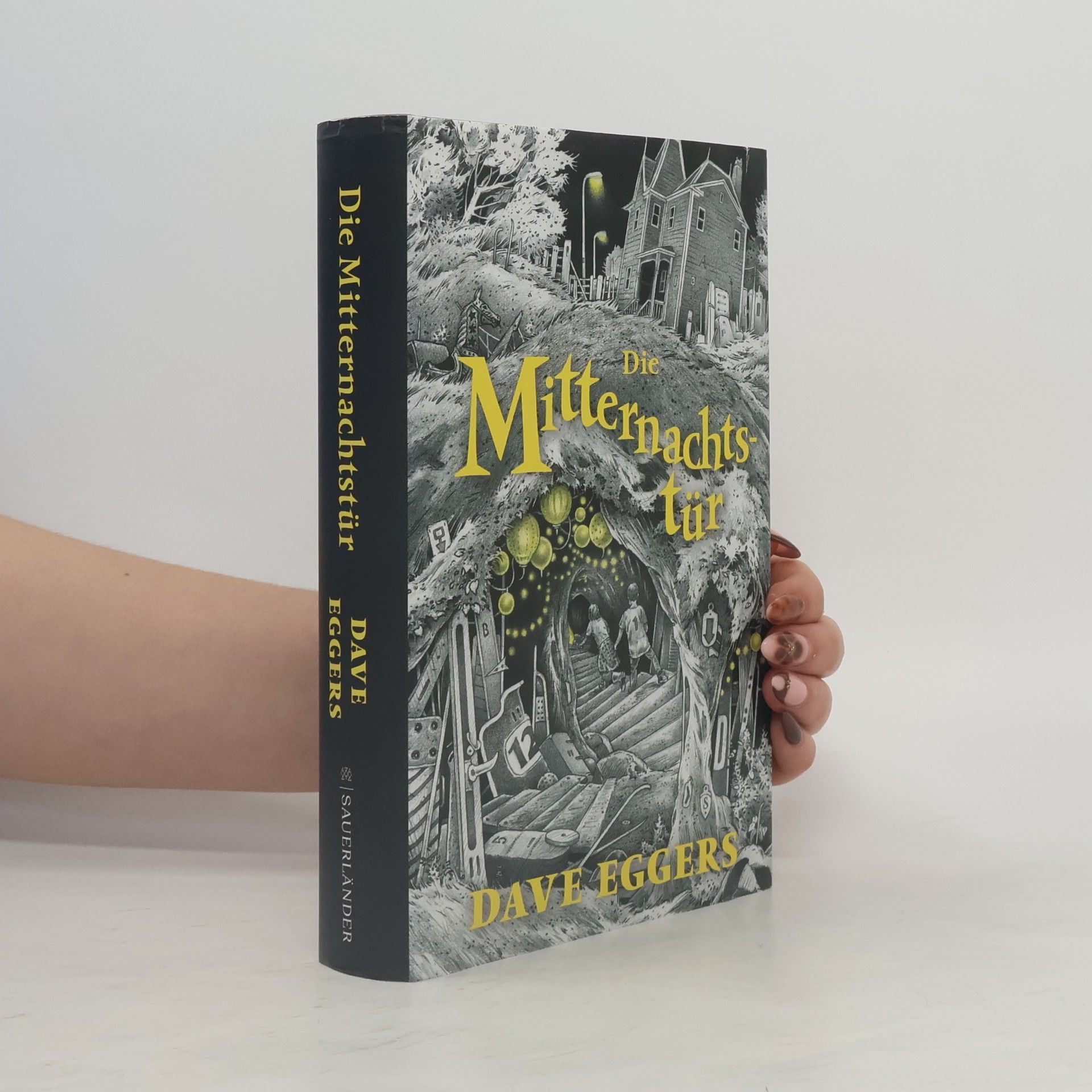 Dave Eggers Die Mitternachtstür