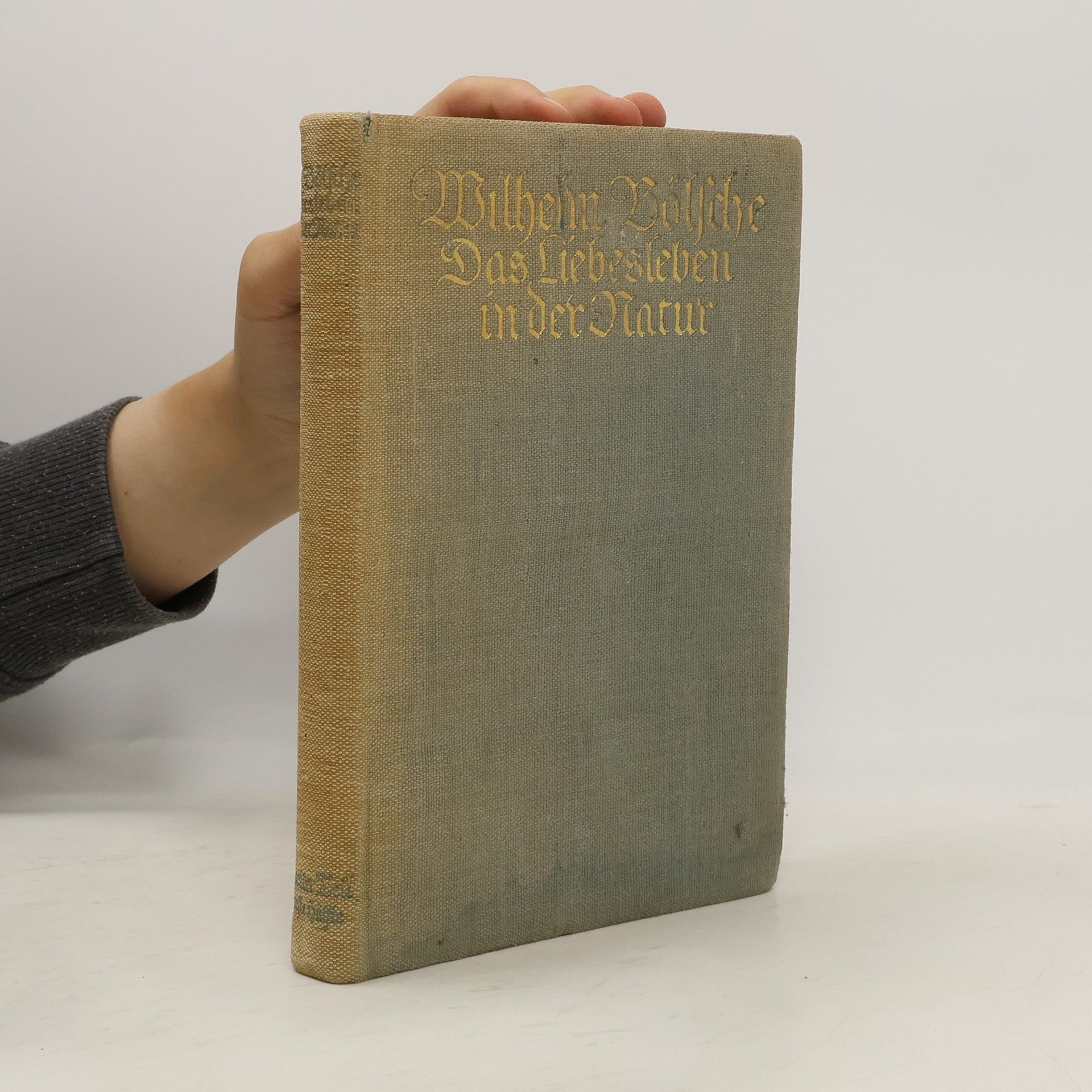 Wilhelm Bölsche Das Liebesleben in der Natur. Zweiter Teil. Erste Hälfte