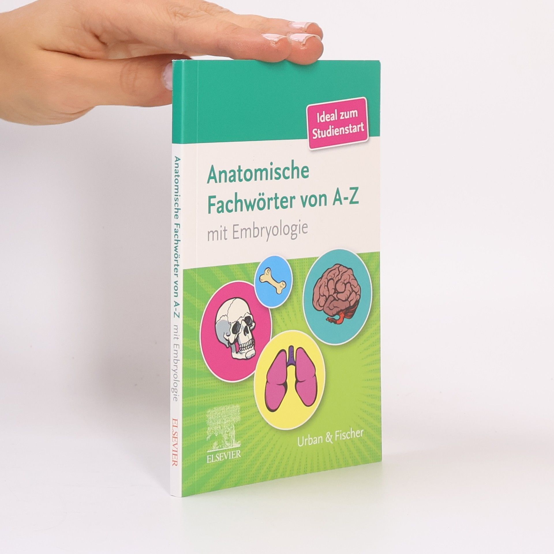 Ulrike Kriegel Anatomische Fachwörter von A-Z