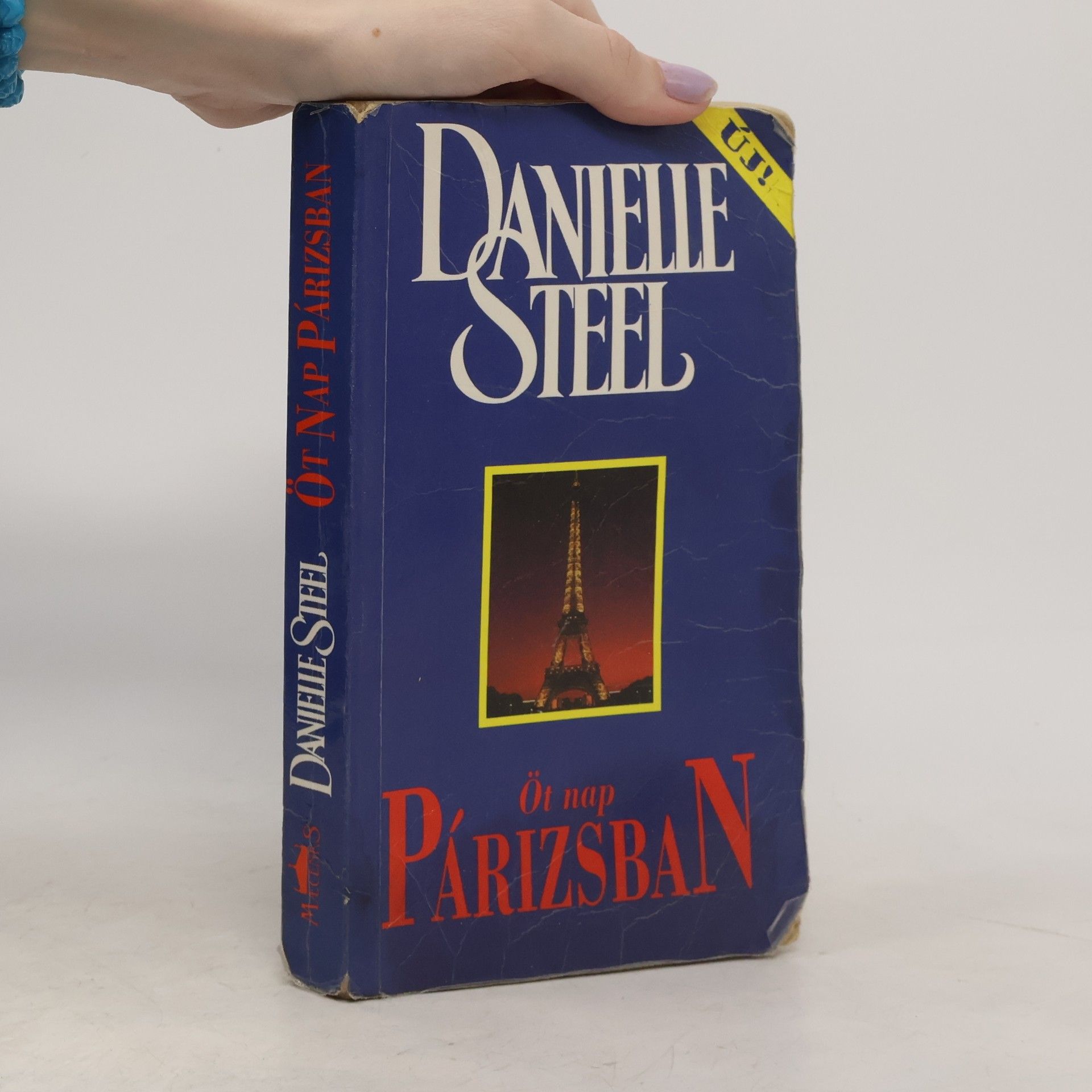 Danielle Steel Öt Nap Párizsban