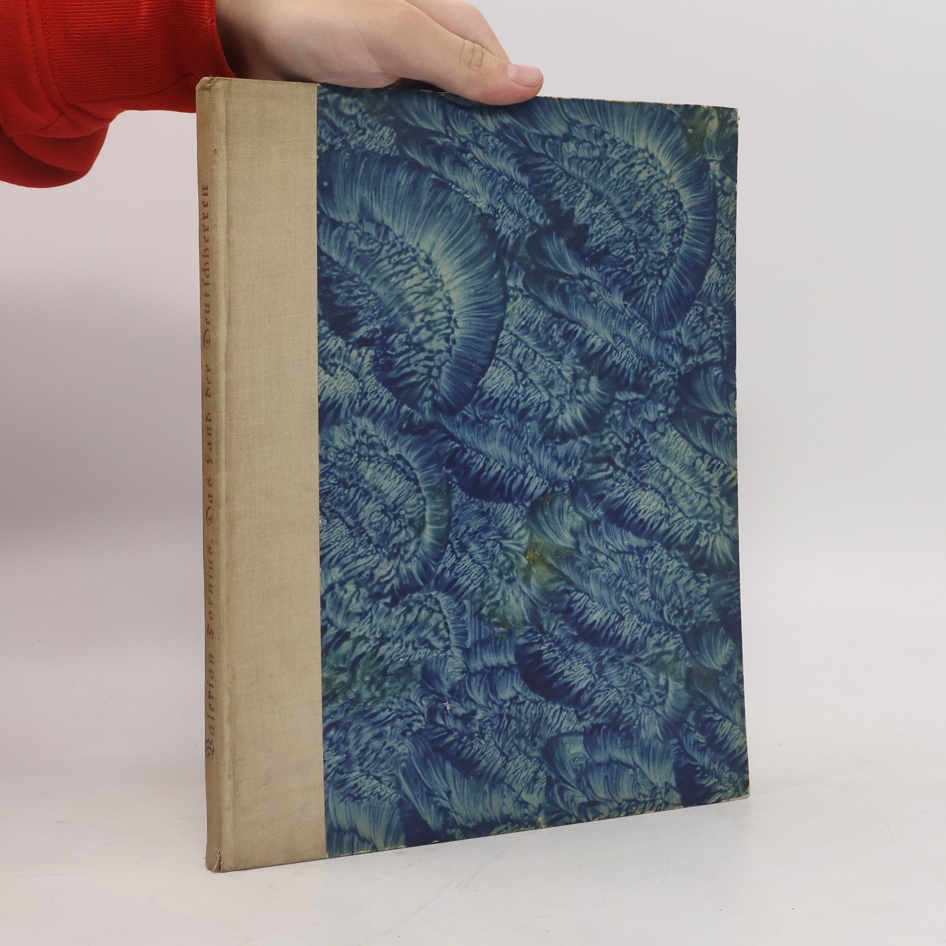 Das land der Deutschherren und der Hansa im osten