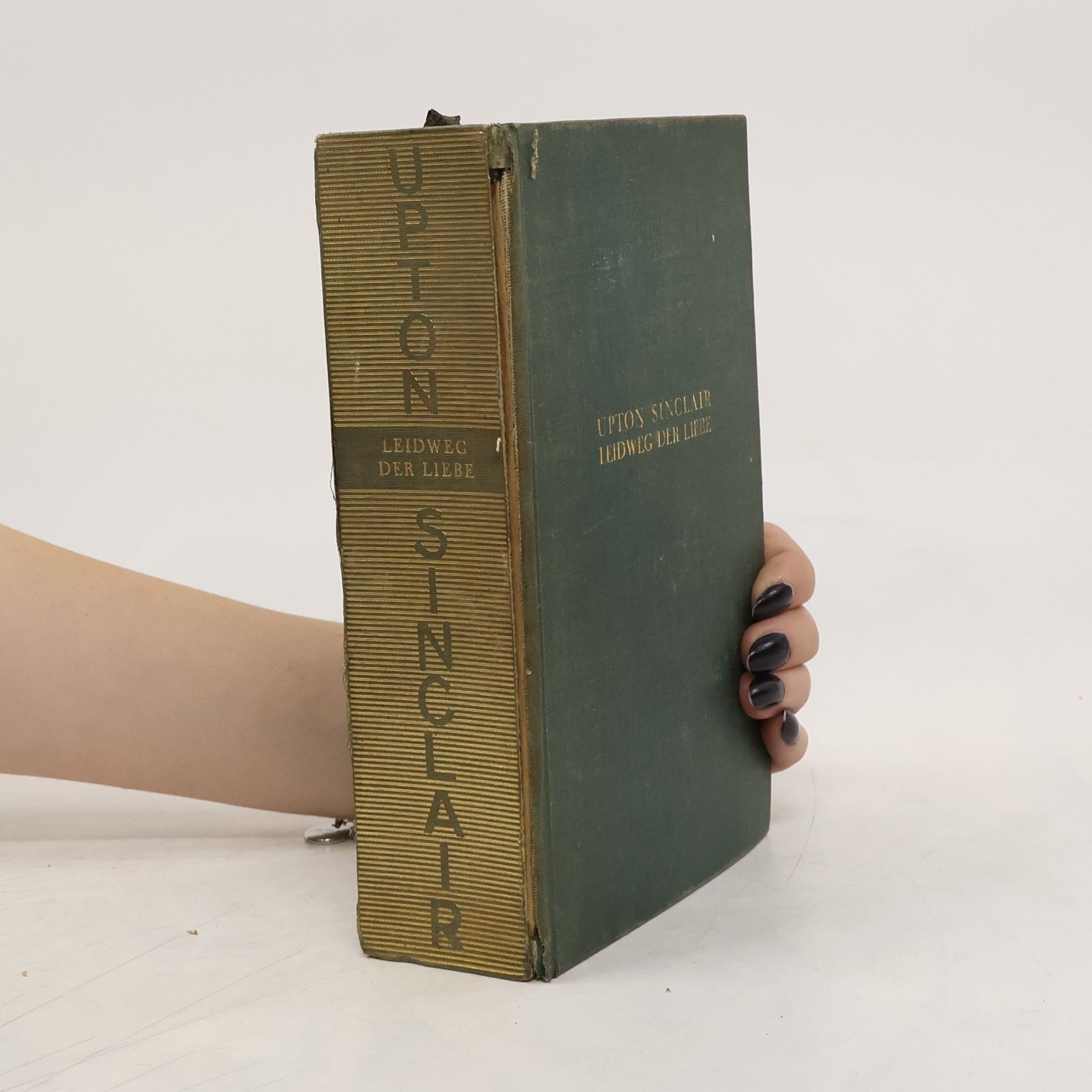 Upton Sinclair Leidweg der Liebe