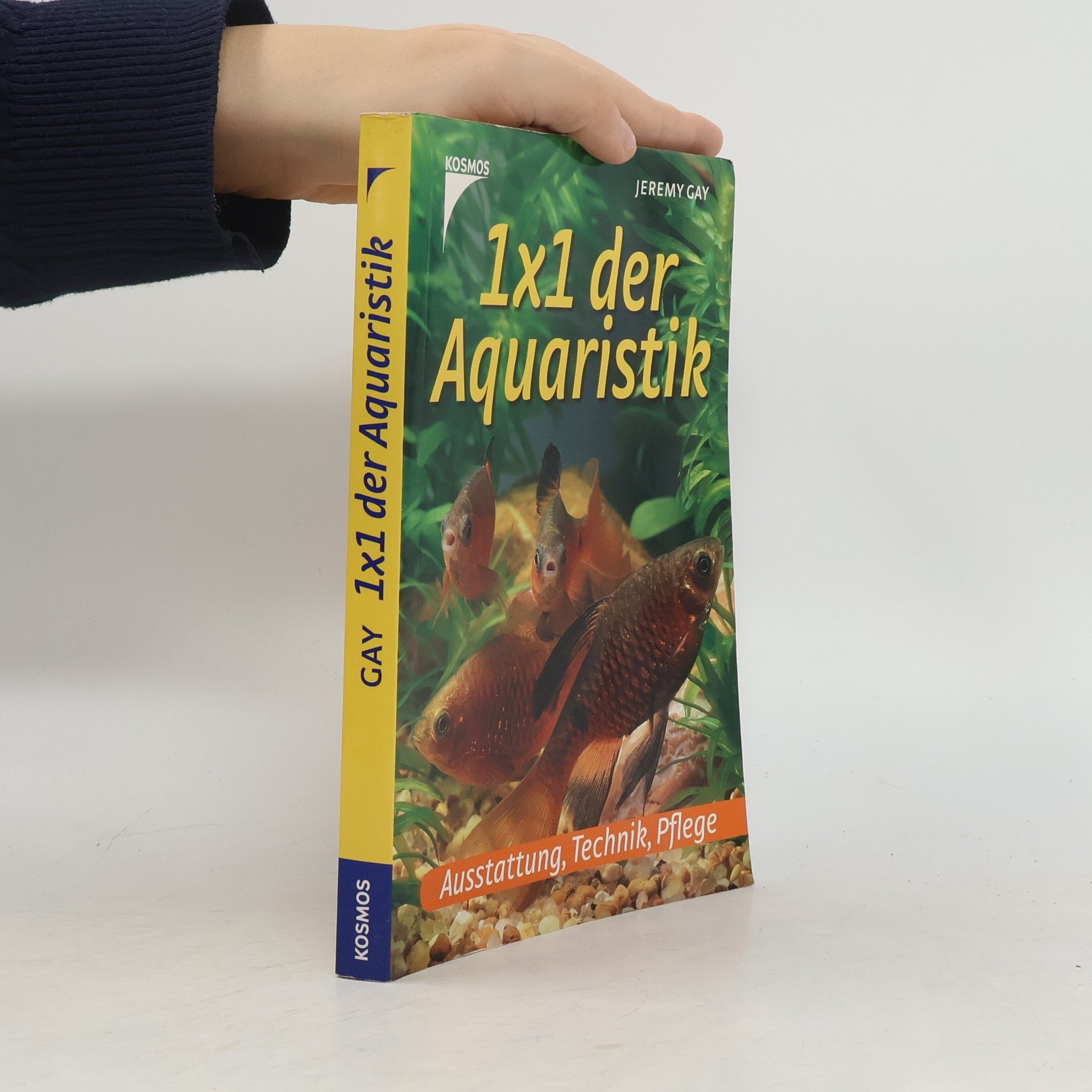 Jeremy Gay 1x1 der Aquaristik