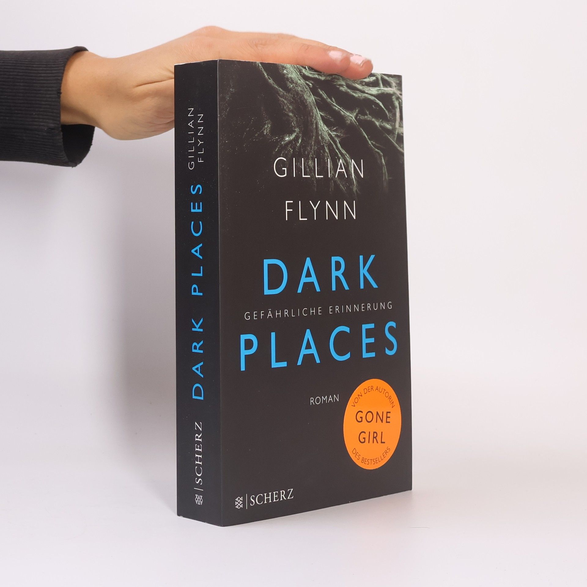 Gillian Flynn Dark places