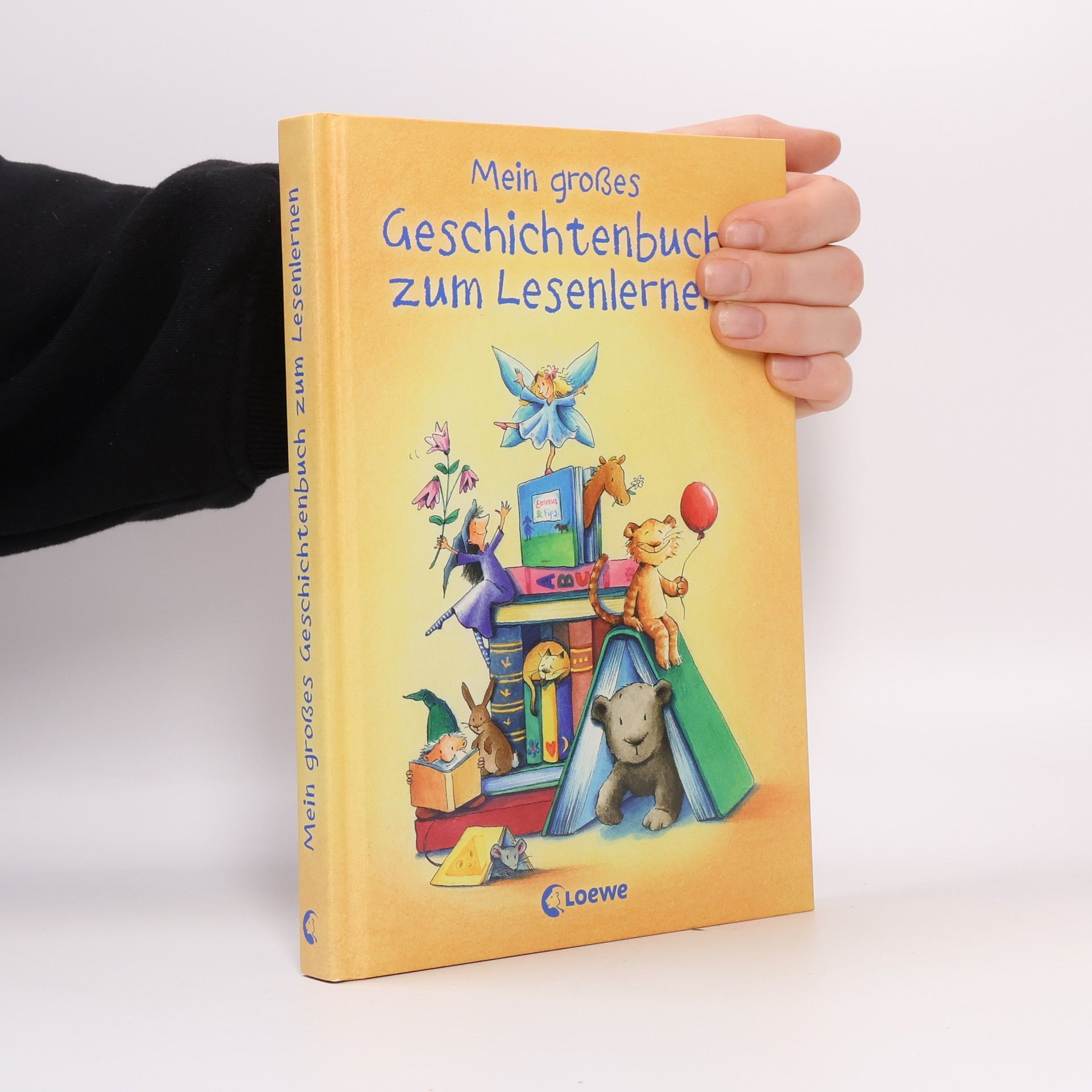 AA.VV. Mein großes Geschichtenbuch zum Lesenlernen