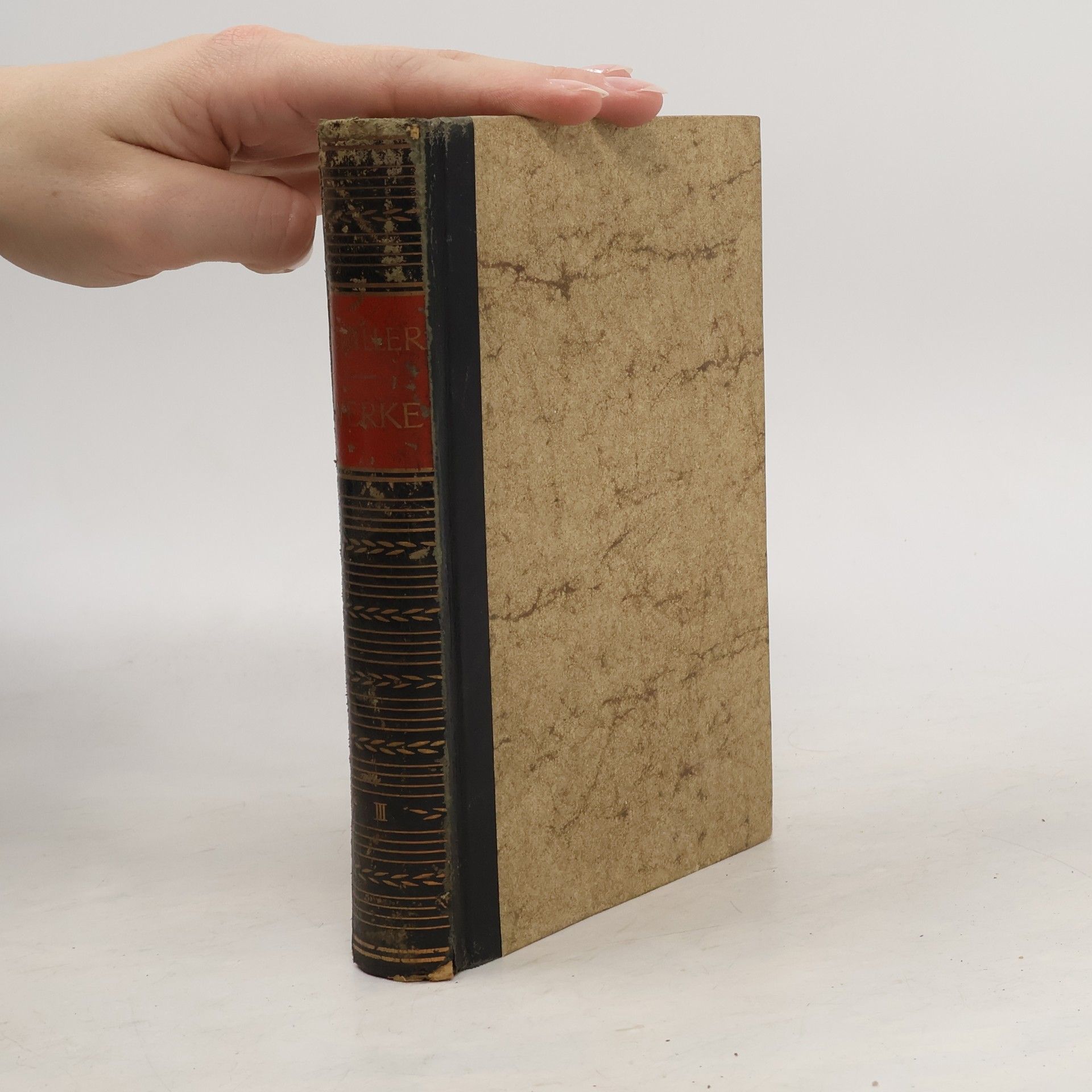 Friedrich Schiller Das dichterische Werk