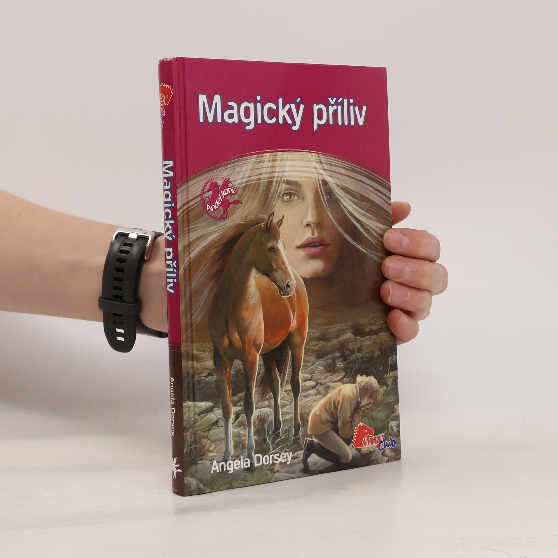Angela Dorsey Magický příliv