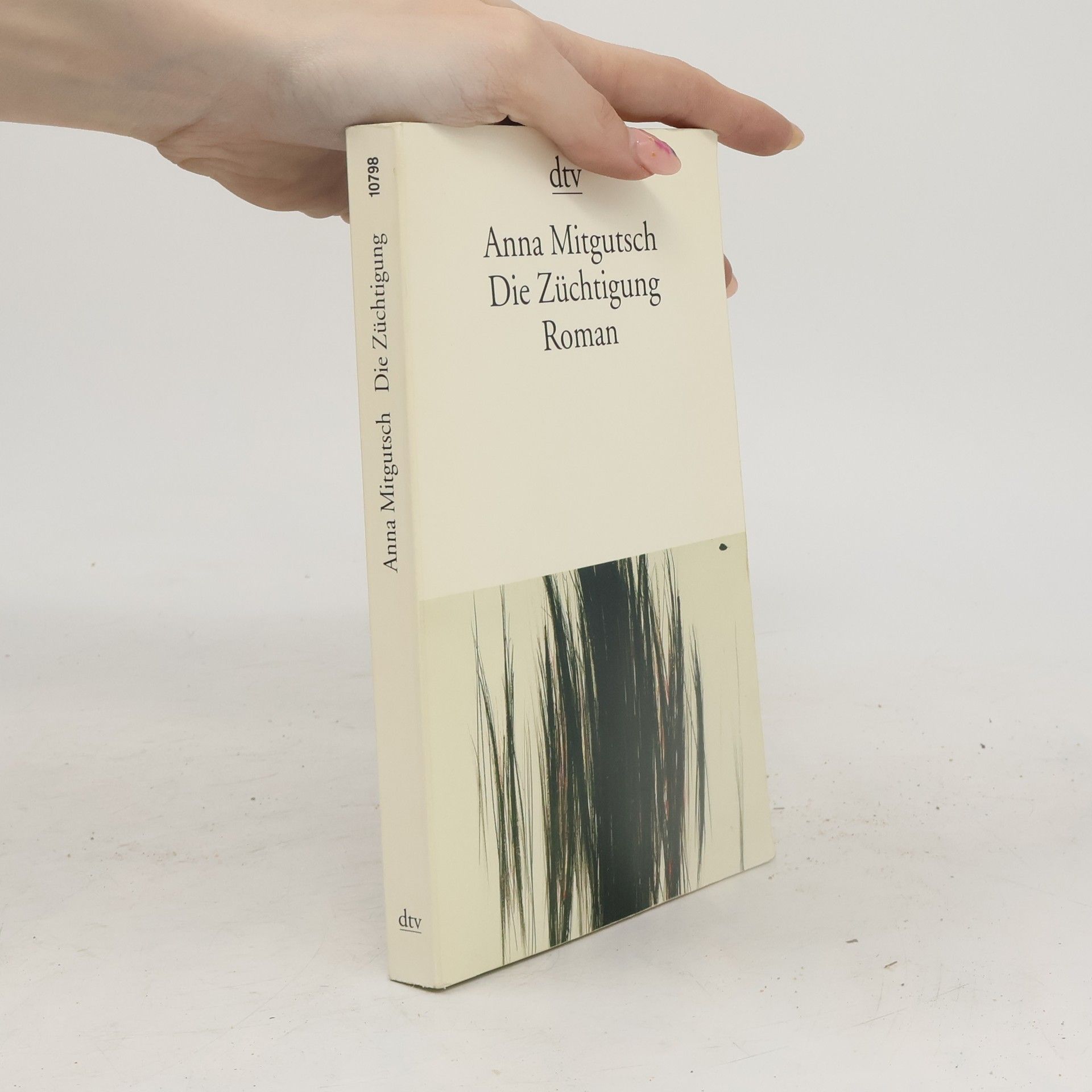 Anna Mitgutsch Die Züchtigung