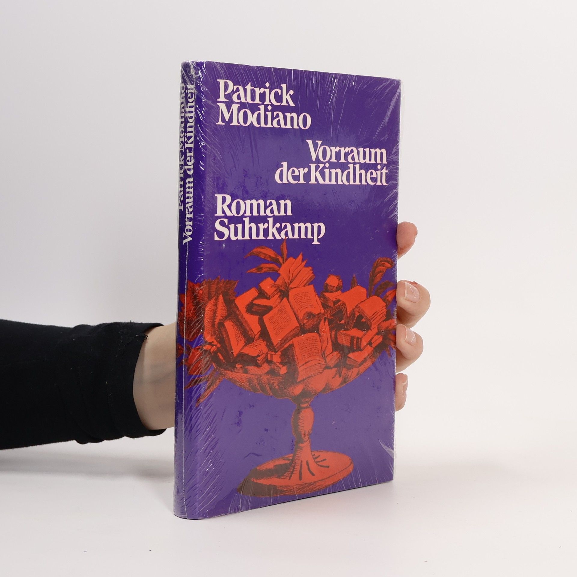 Patrick Modiano Vorraum der Kindheit