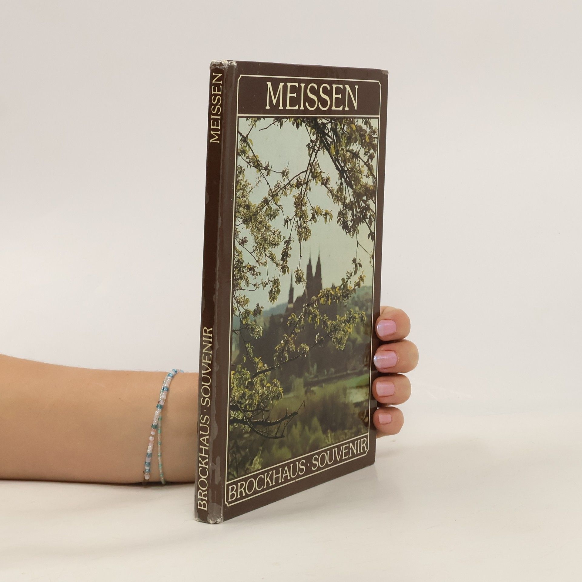 AA.VV. Meissen. Brockhaus. Souvenir