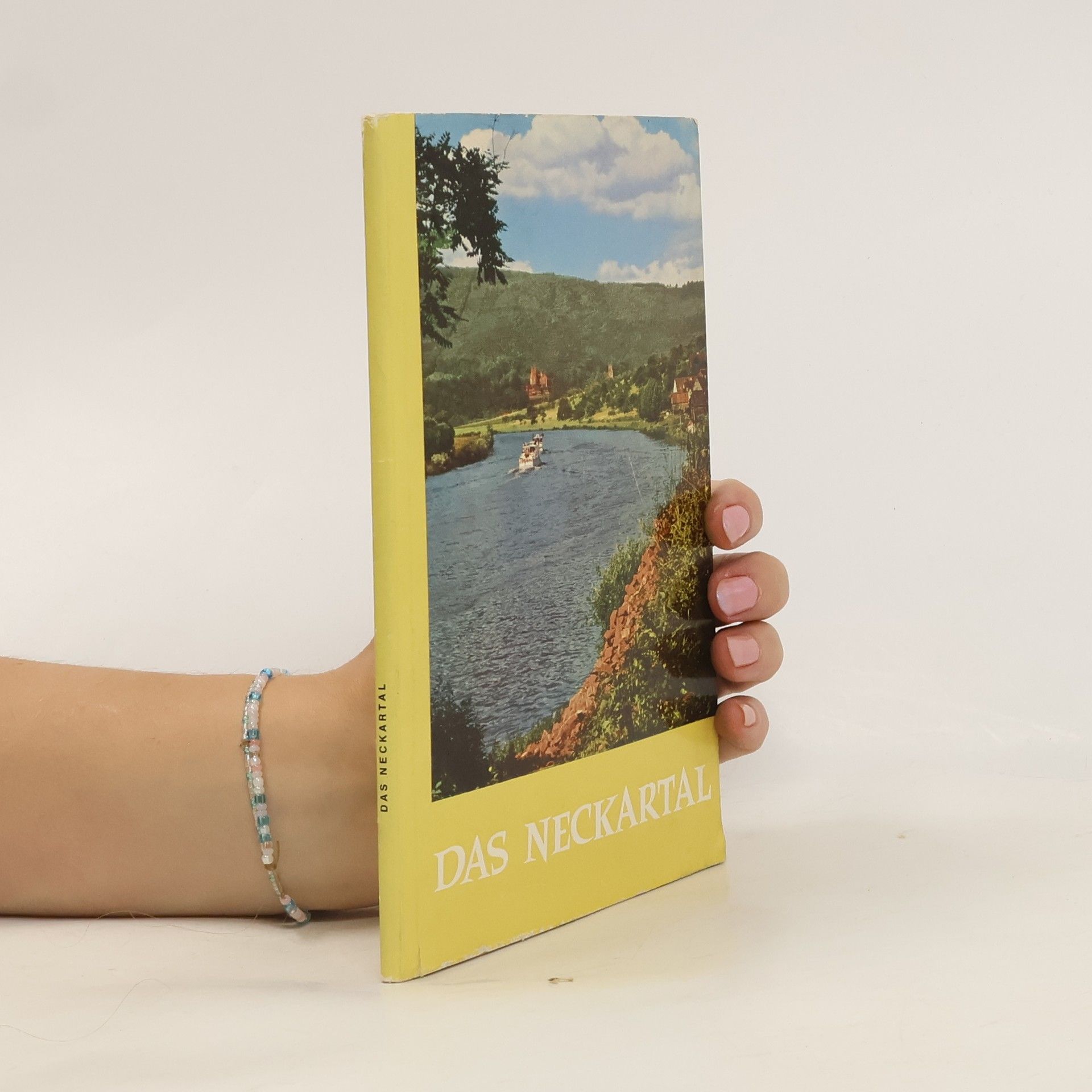 Collectif d'auteurs Das Neckartal