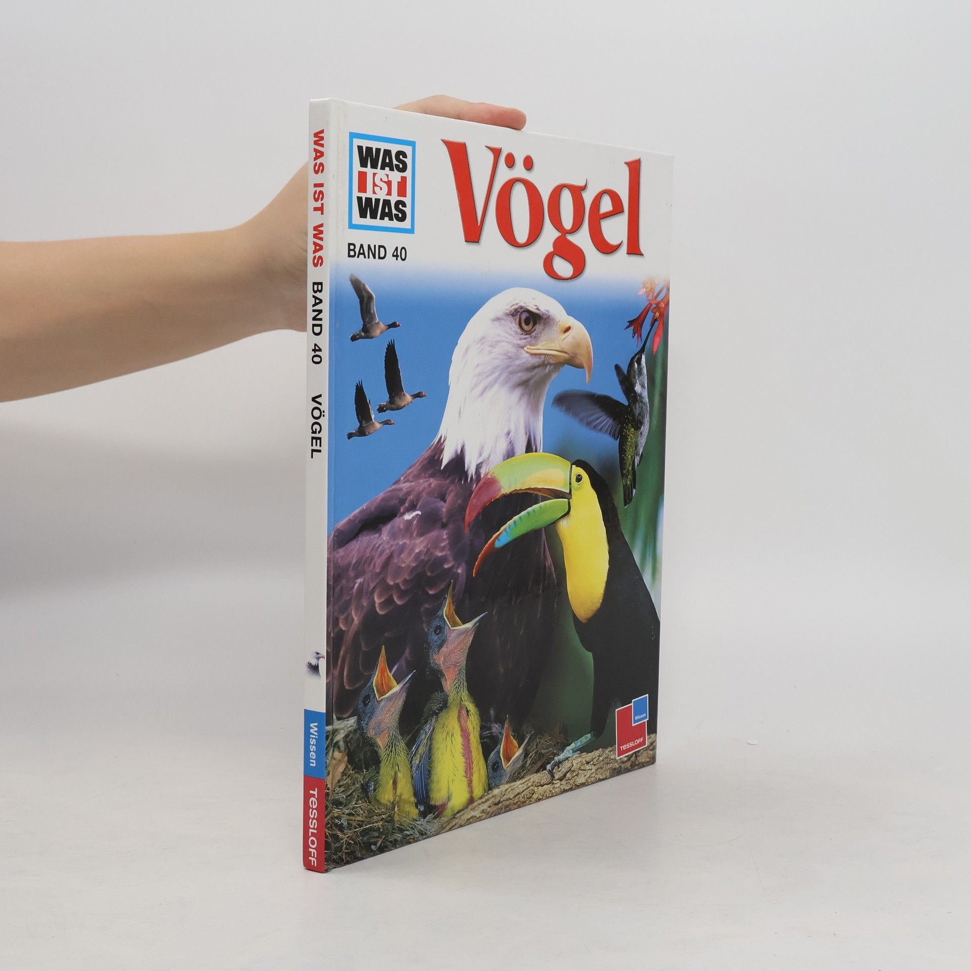 Vögel