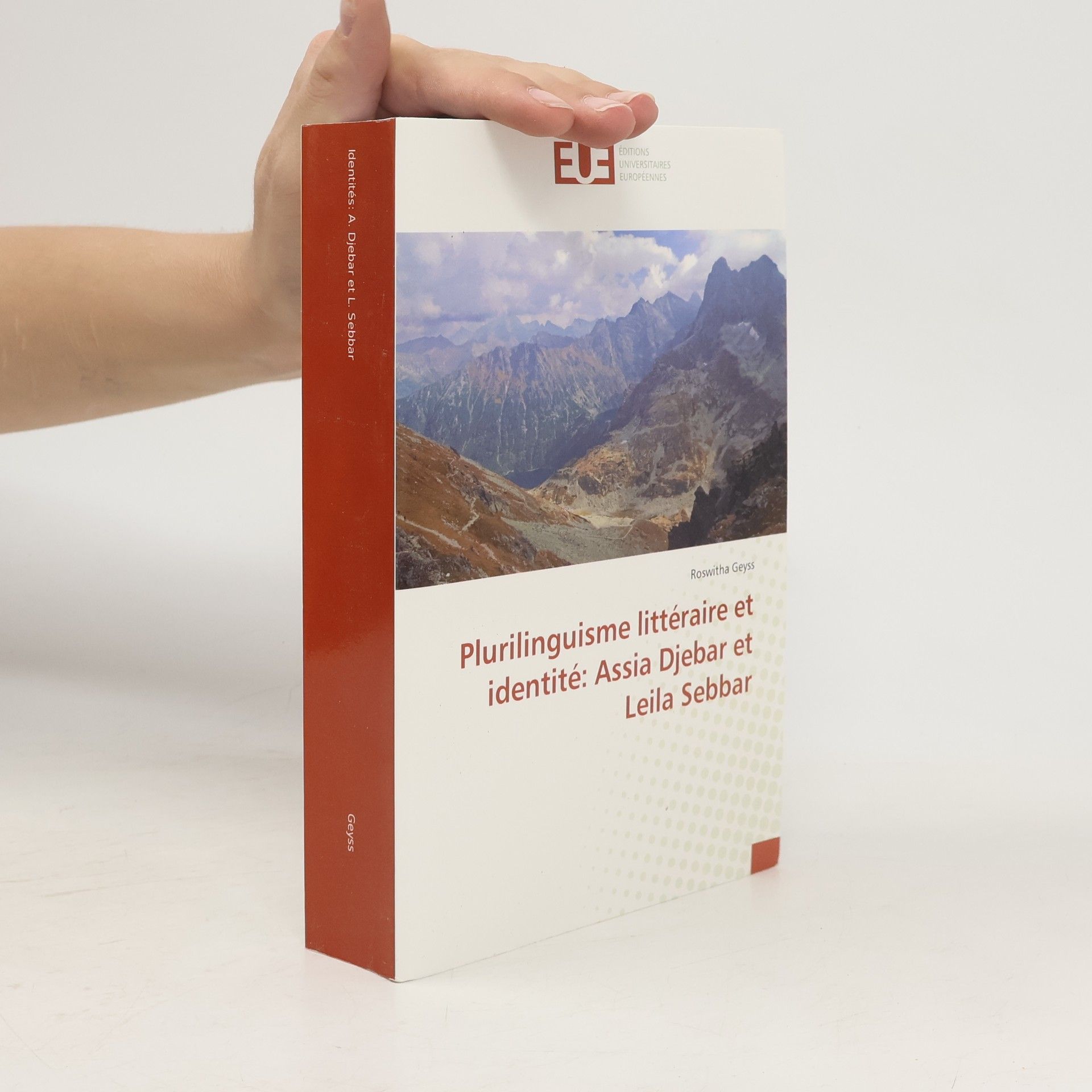 Plurilinguisme littéraire et identité