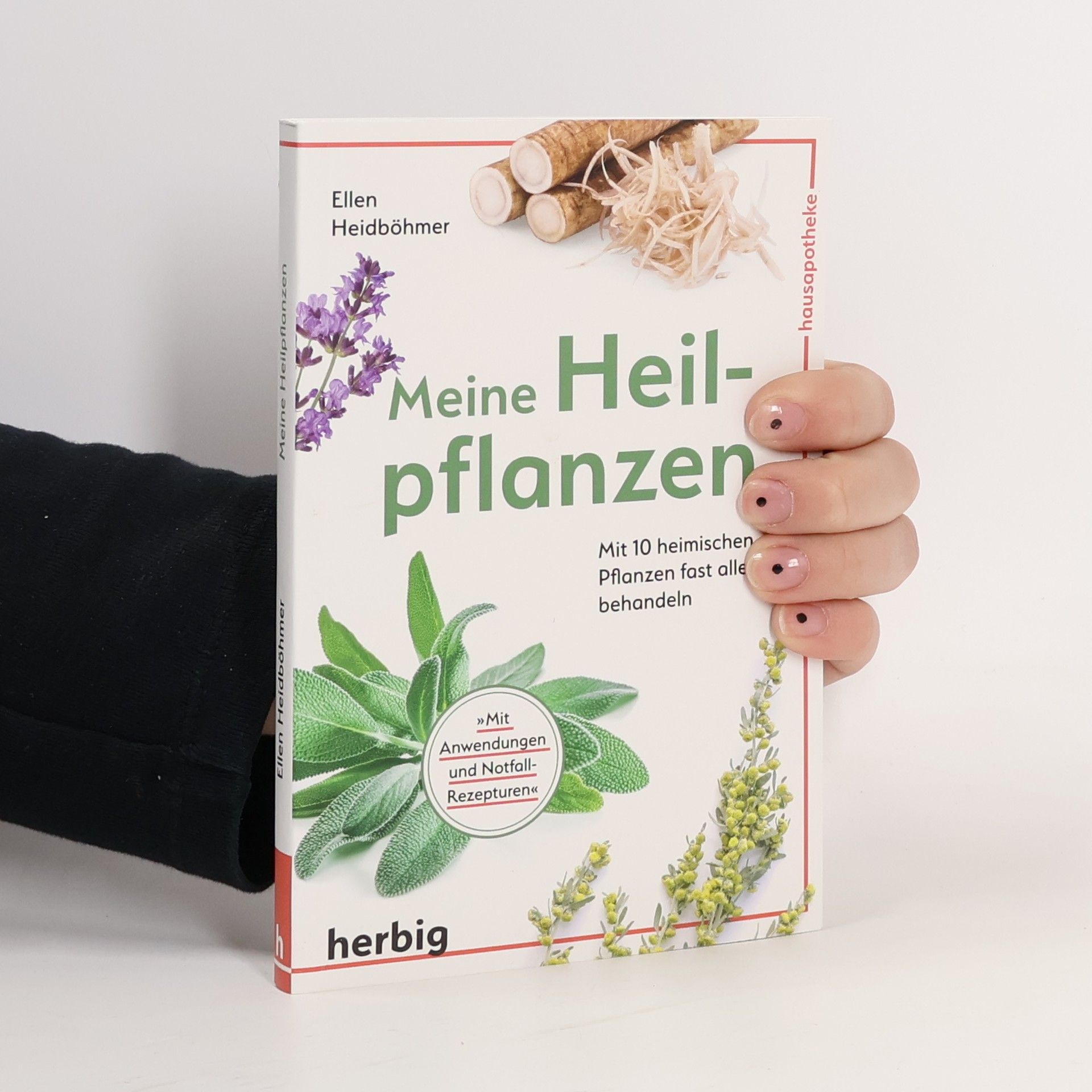 Ellen Heidböhmer Meine Heilpflanzen