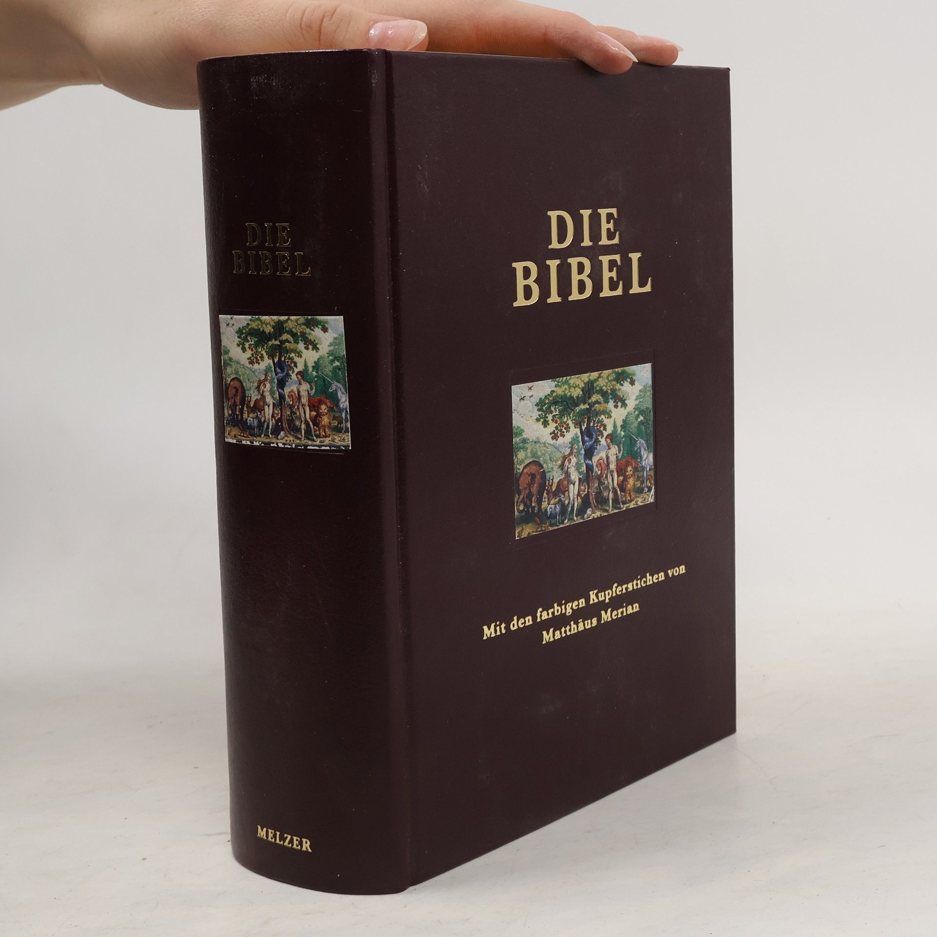 Michael Schwartz Die Merian Bibel