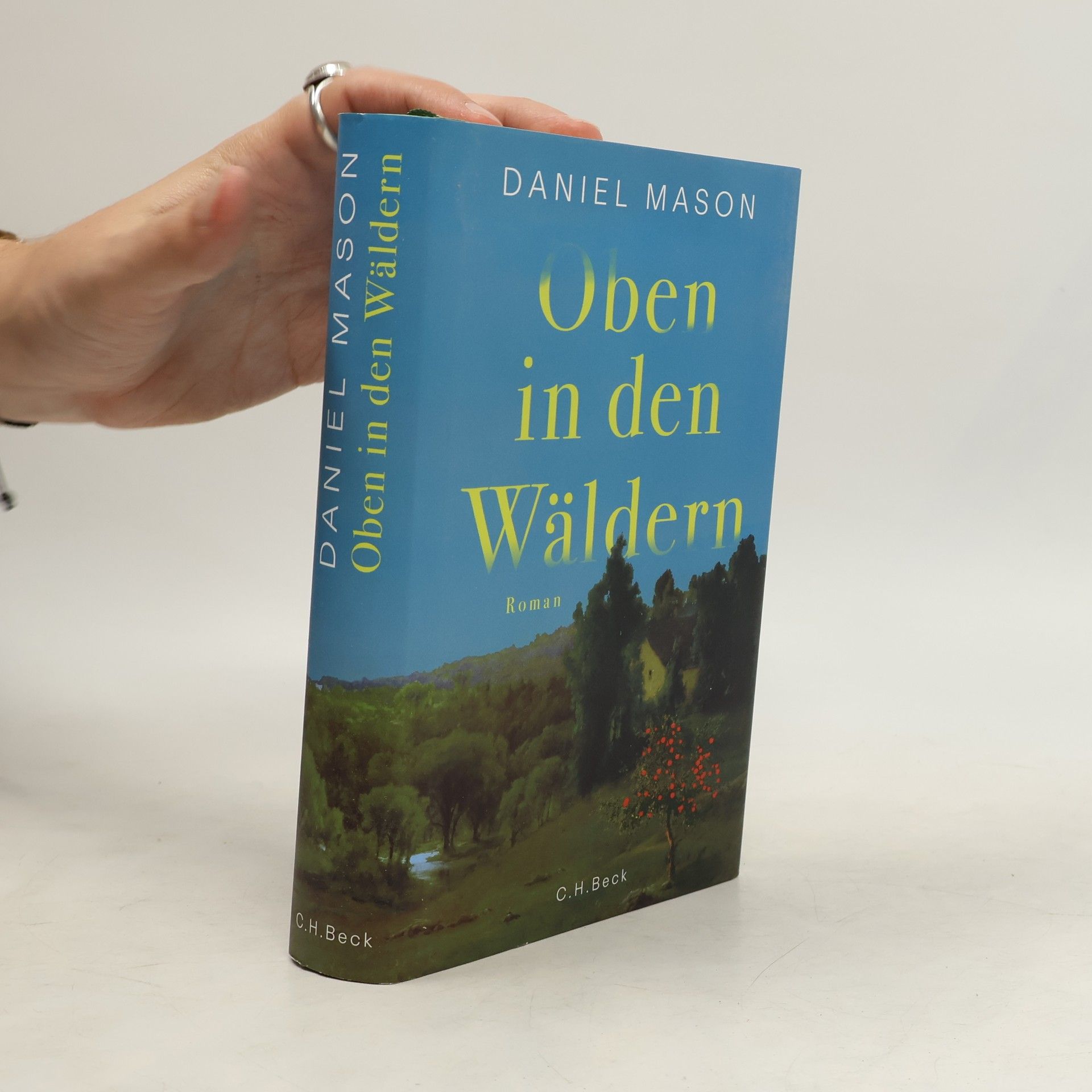 Daniel Mason Oben in den Wäldern